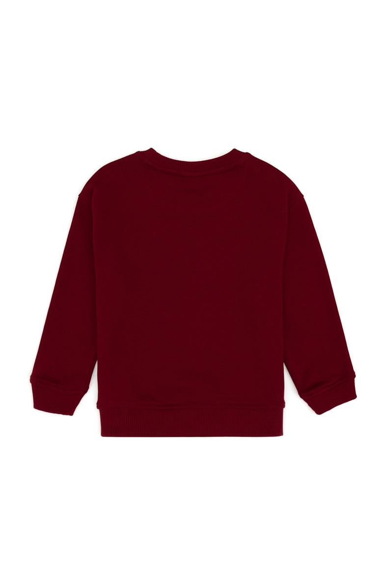 Erkek Çocuk Bordo Bisiklet Yaka Sweatshirt - 50313843056