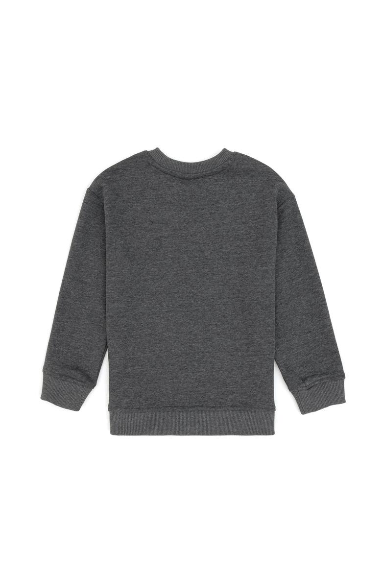 Erkek Çocuk Antrasit Bisiklet Yaka Sweatshirt - 50313843084