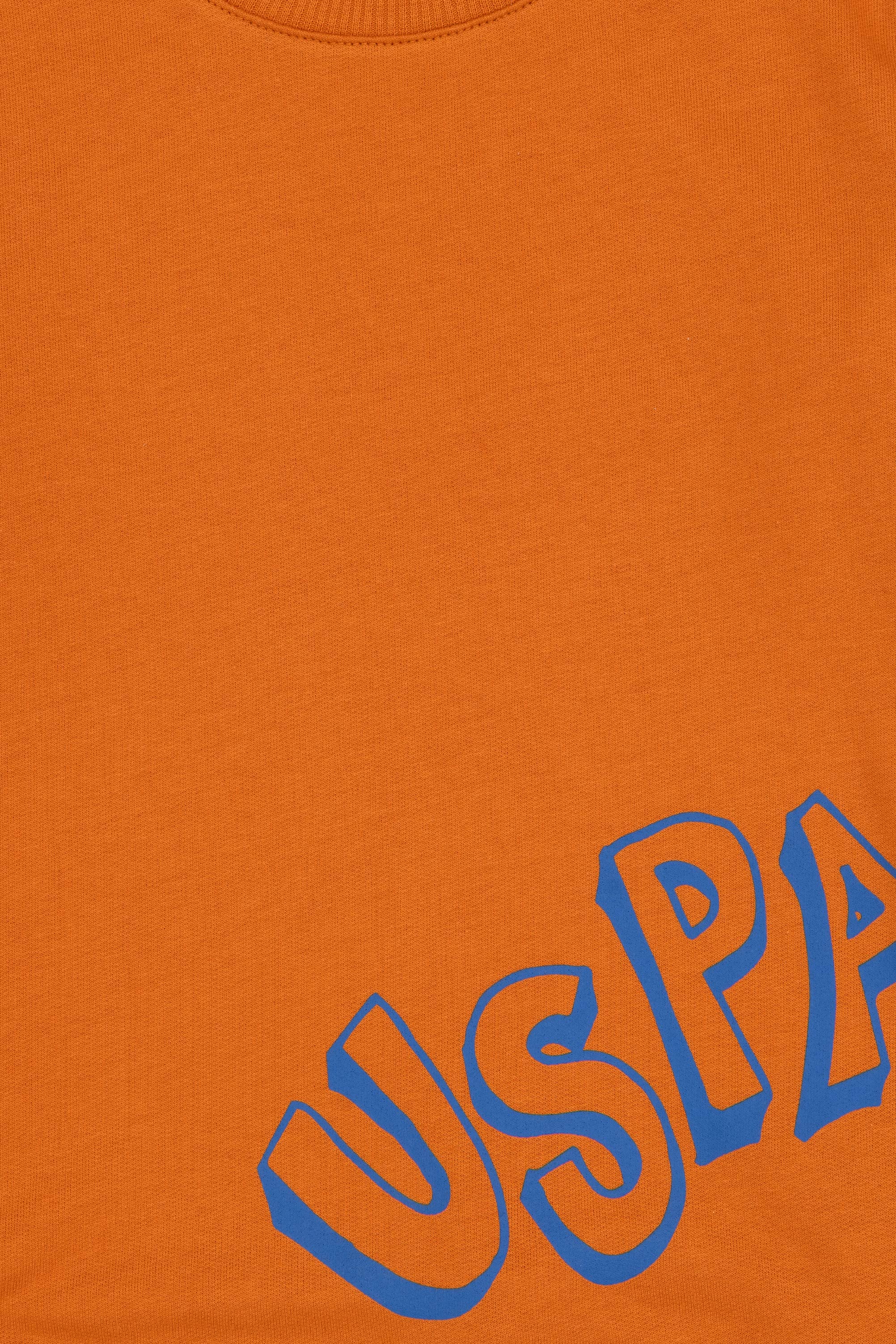 Erkek Çocuk Bakır Bisiklet Yaka Basic Sweatshirt - Image 5
