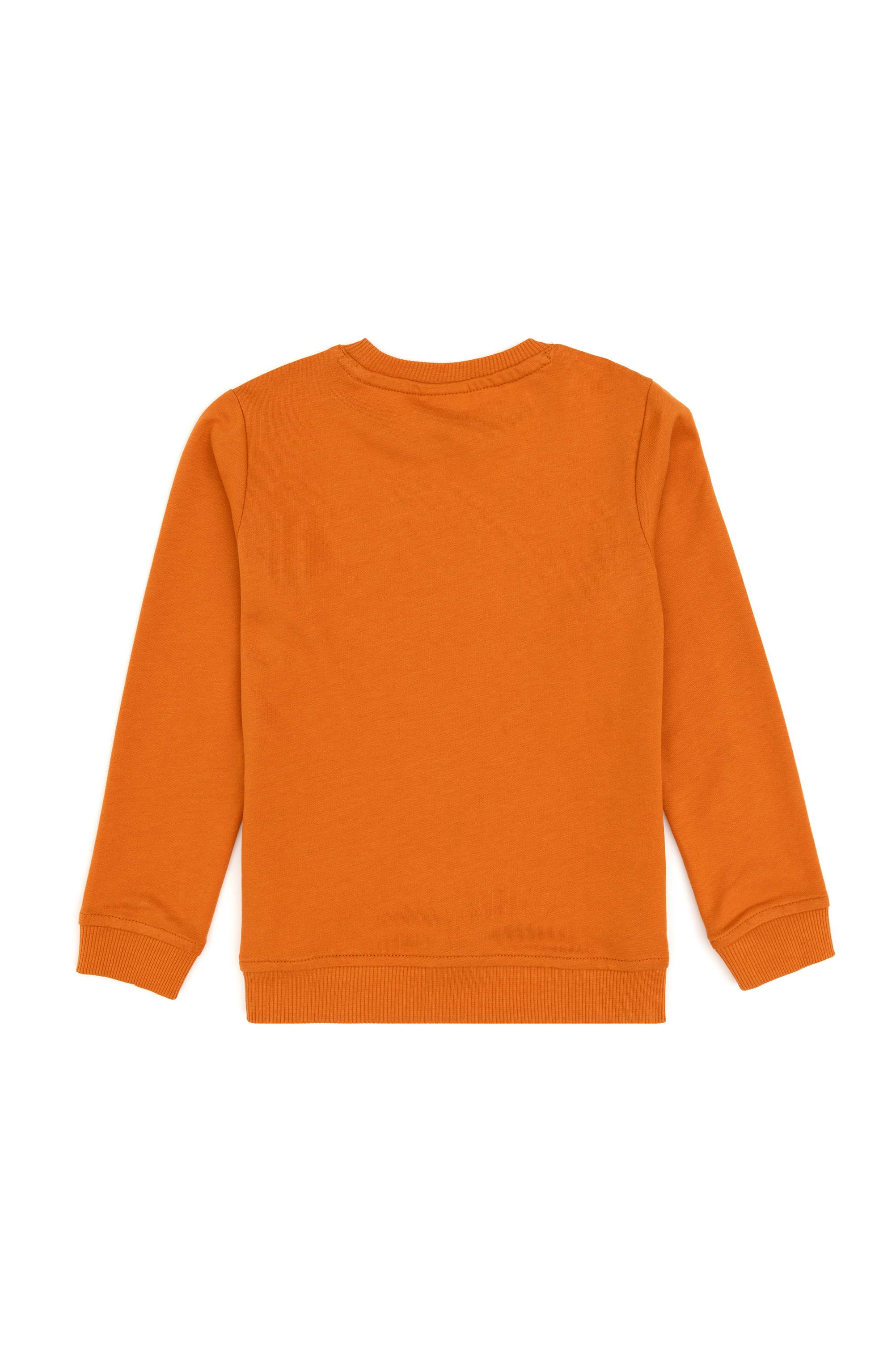 Erkek Çocuk Bakır Bisiklet Yaka Basic Sweatshirt - Image 4