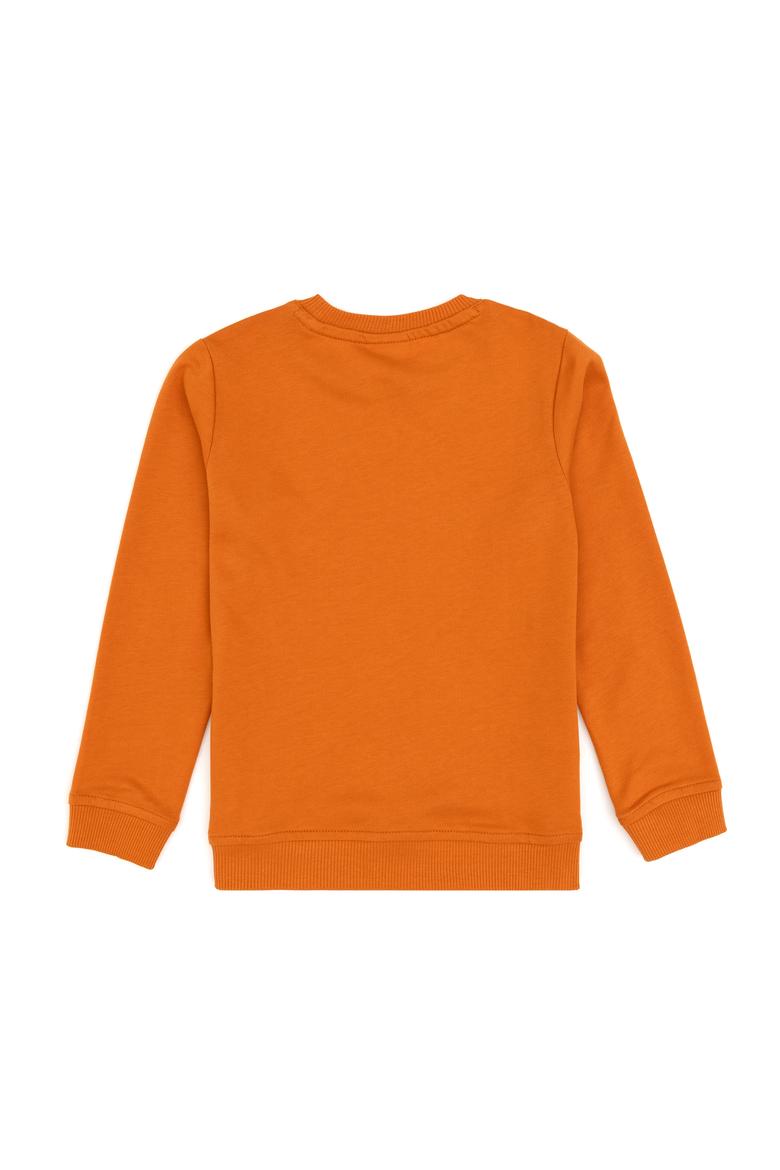 Erkek Çocuk Bakır Bisiklet Yaka Basic Sweatshirt - 50313979089