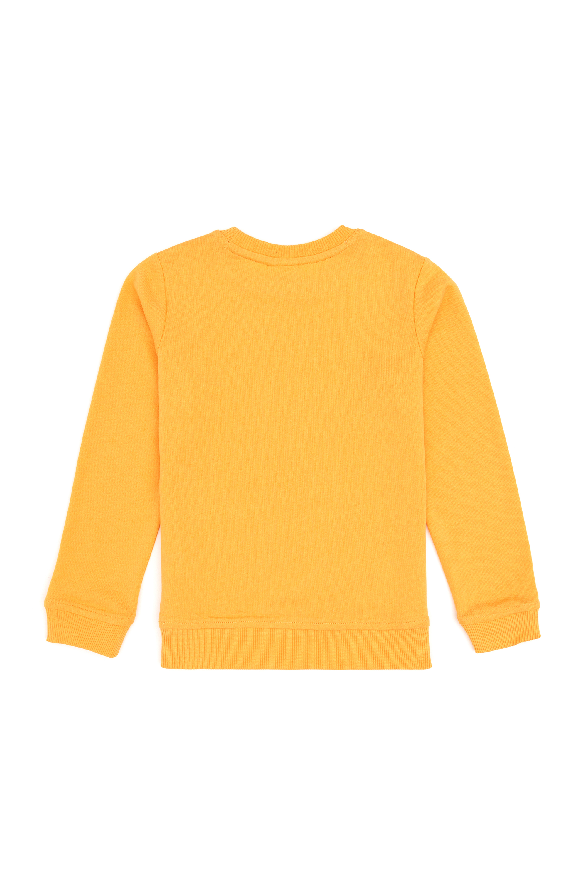 Erkek Çocuk Mango Bisiklet Yaka Basic Sweatshirt - Image 2