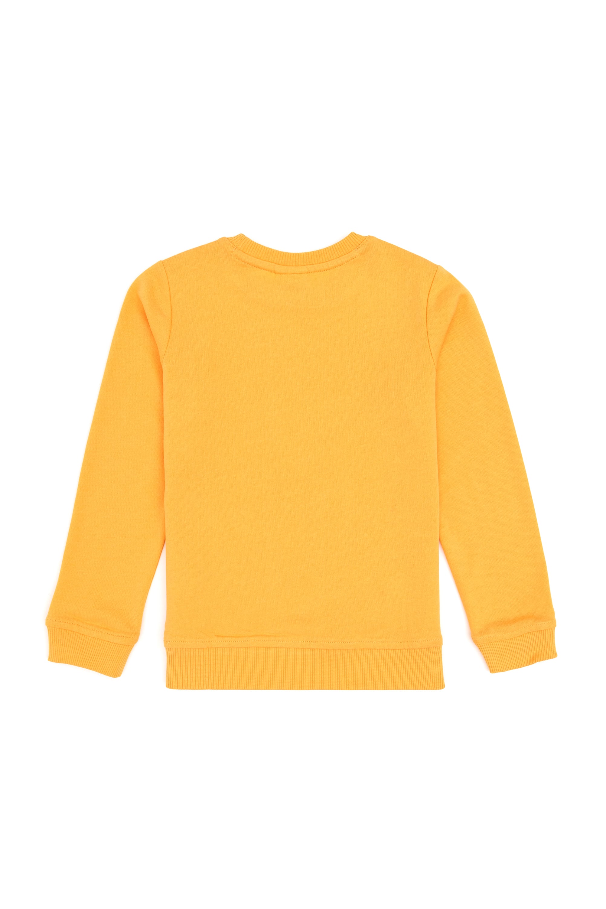 Erkek Çocuk Mango Bisiklet Yaka Basic Sweatshirt