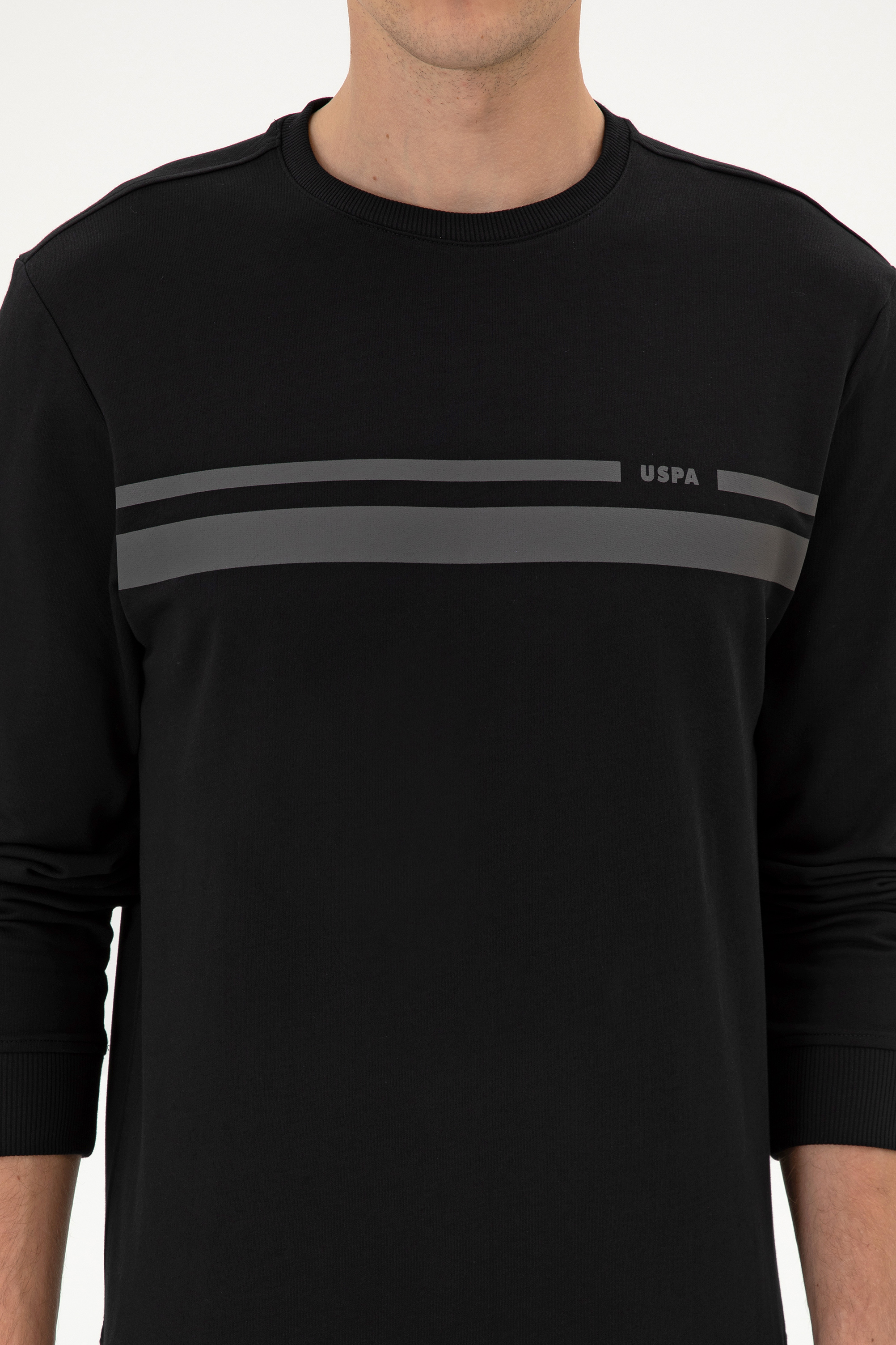Erkek Regular Fit Bisiklet Yaka Siyah İnce Sweatshirt - Image 6