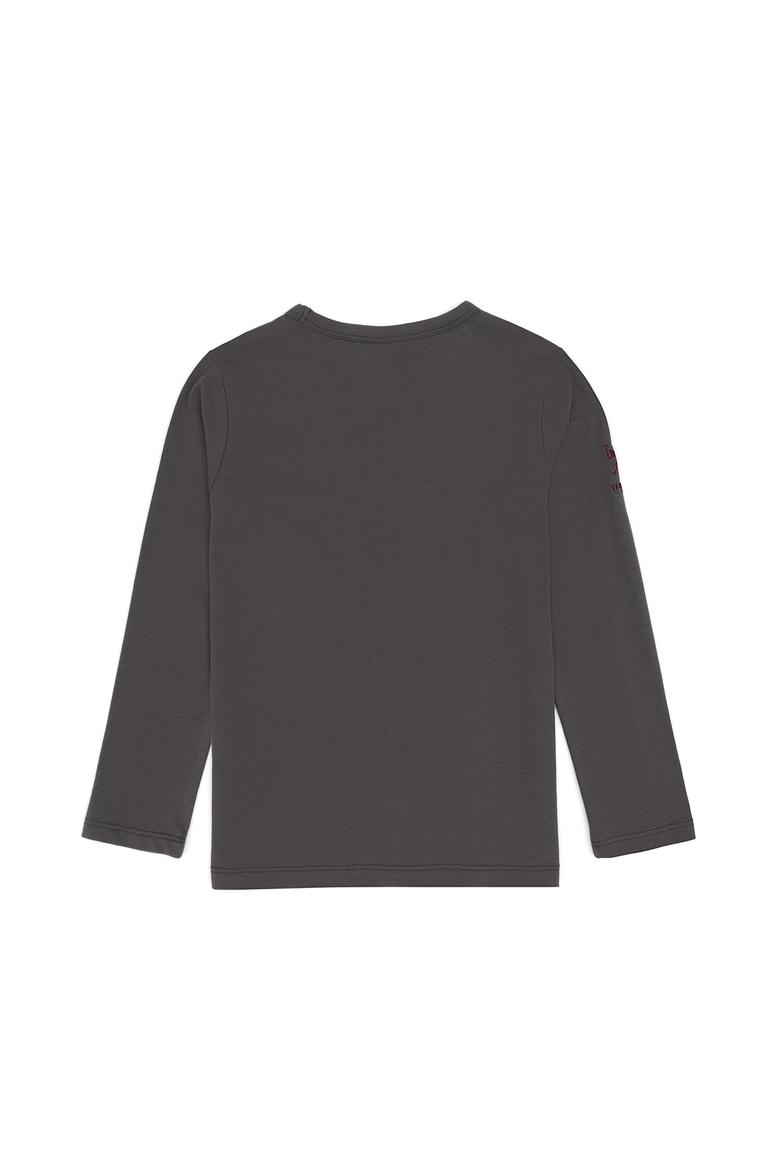 Erkek Çocuk Gri Bisiklet Yaka Sweatshirt - 50314028140