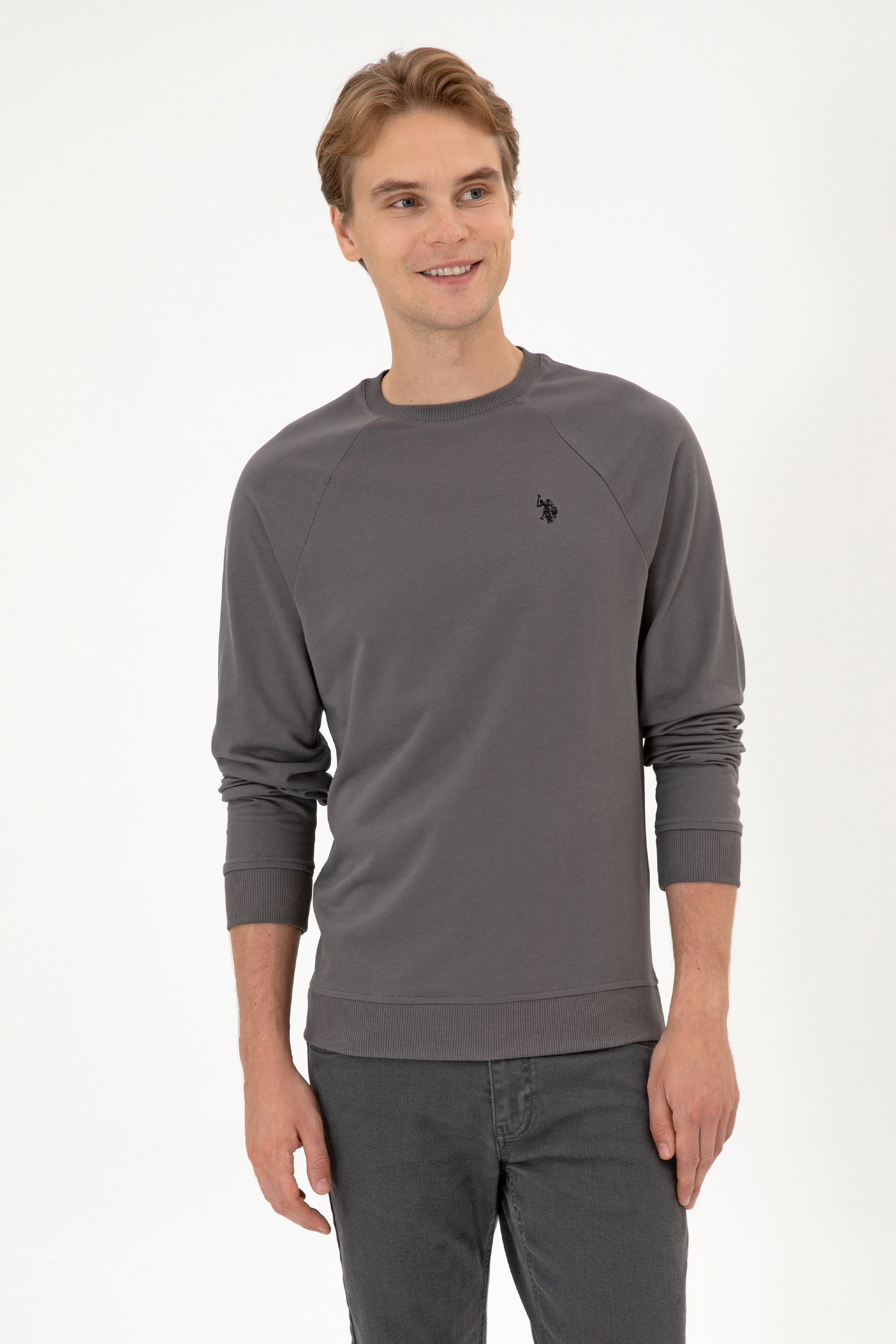 Erkek Regular Fit Bisiklet Yaka Gri İnce Basic Sweatshirt - Image 1