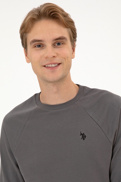 Erkek Regular Fit Bisiklet Yaka Gri İnce Basic Sweatshirt
