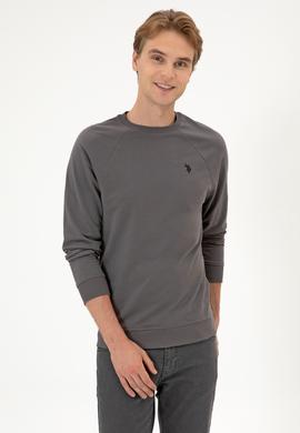 Erkek Regular Fit Bisiklet Yaka Gri İnce Basic Sweatshirt - 50313752107