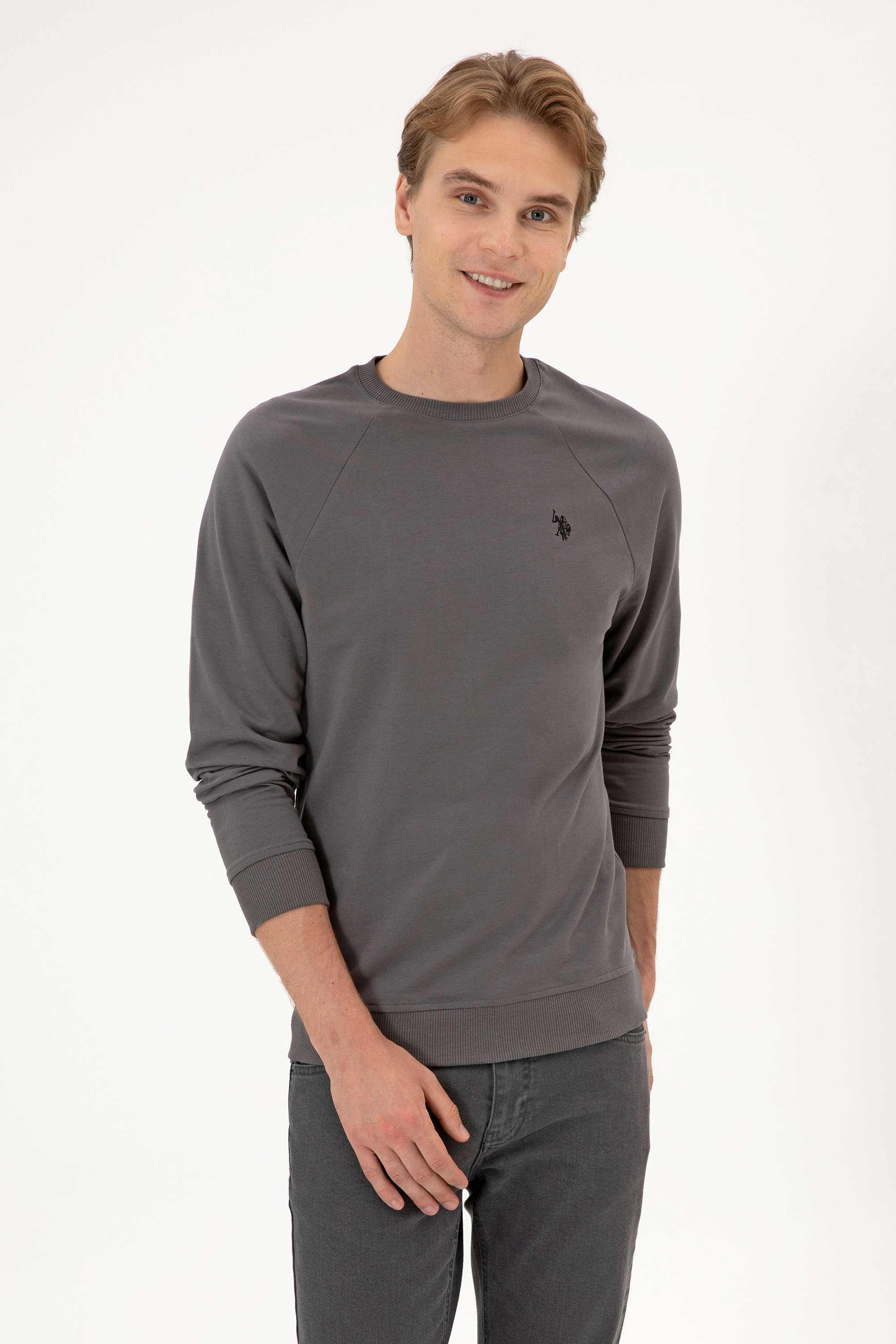 Erkek Regular Fit Bisiklet Yaka Gri İnce Basic Sweatshirt - Image 3