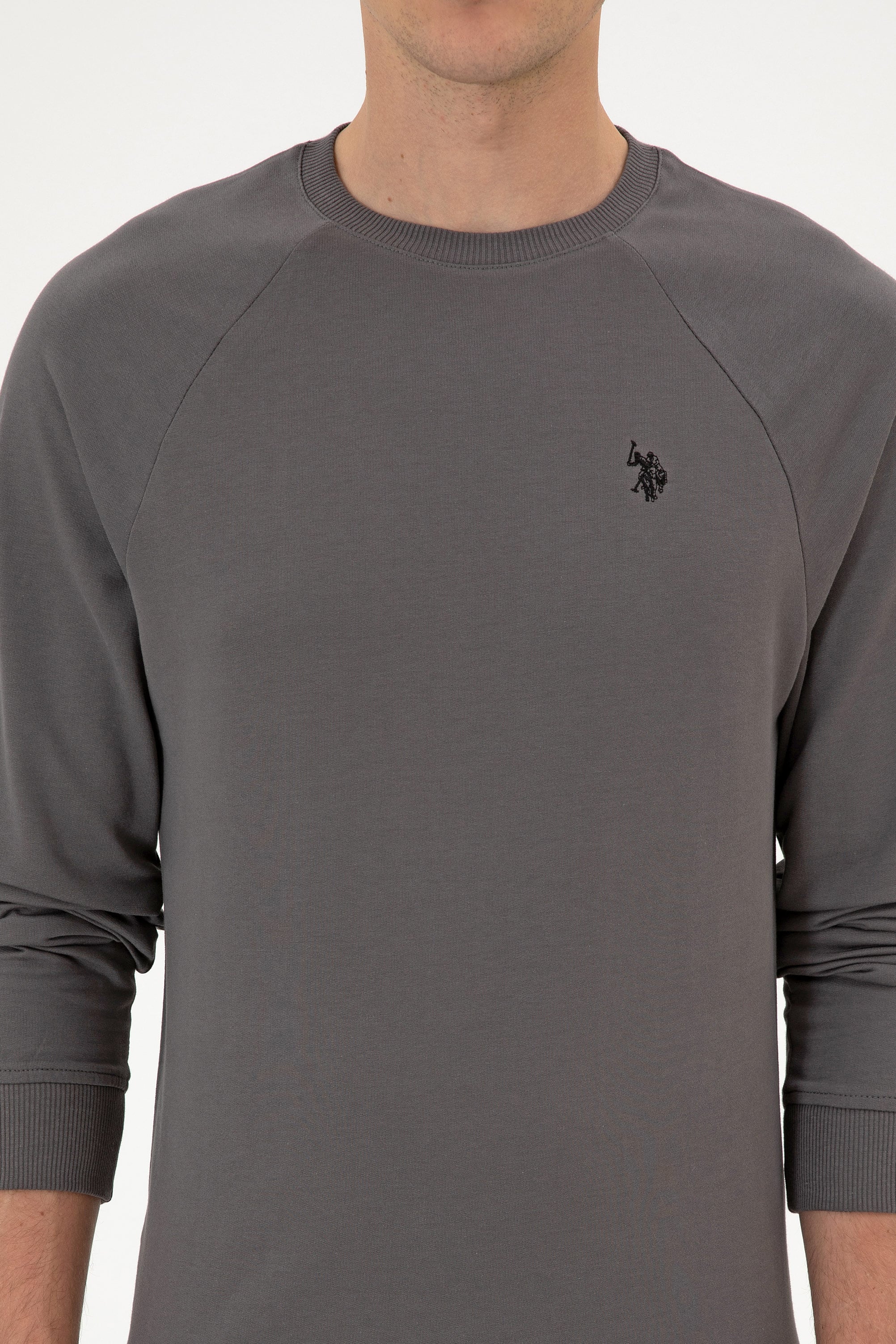 Erkek Regular Fit Bisiklet Yaka Gri İnce Basic Sweatshirt - Image 6