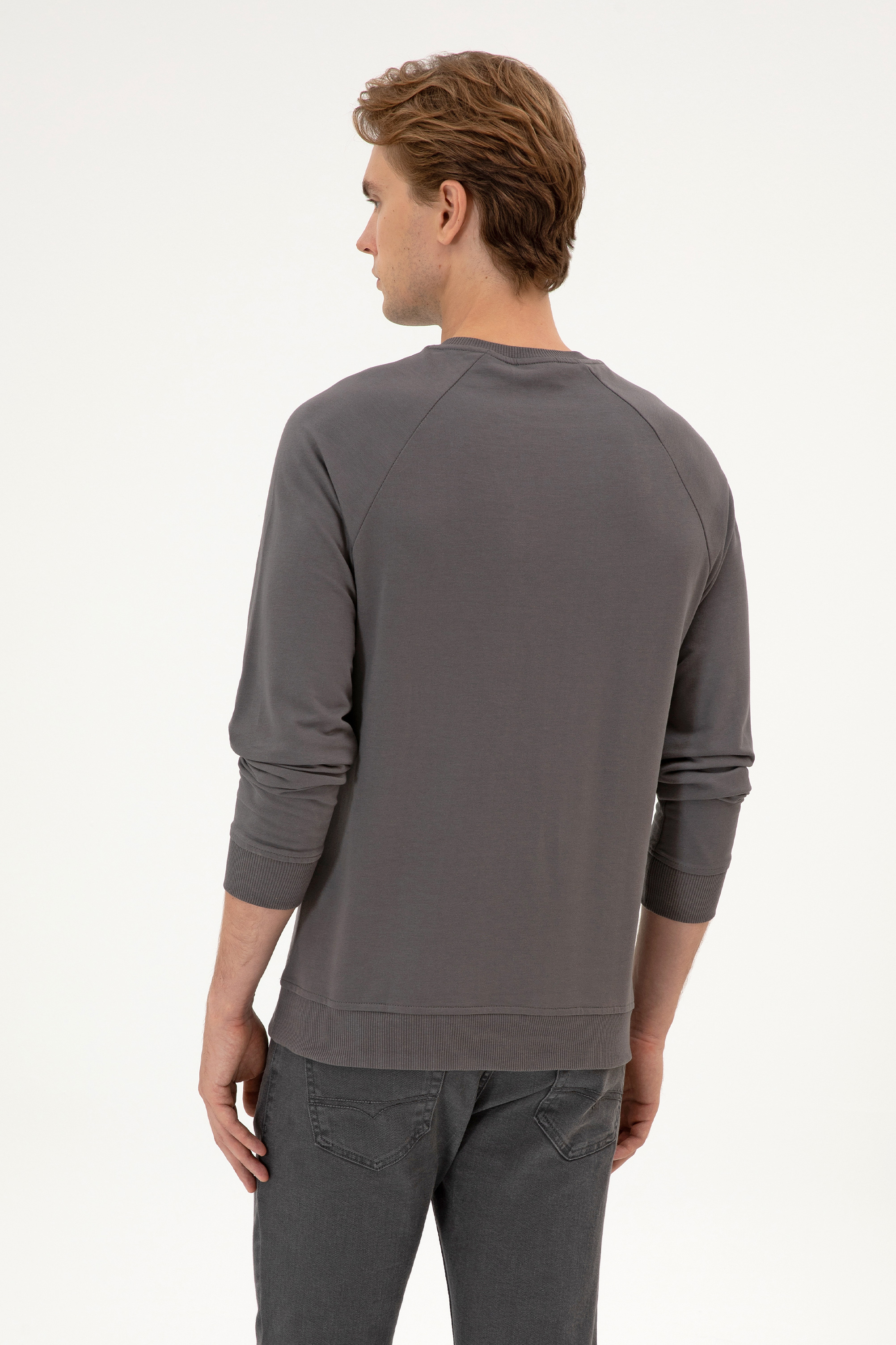 Erkek Regular Fit Bisiklet Yaka Gri İnce Basic Sweatshirt - Image 5