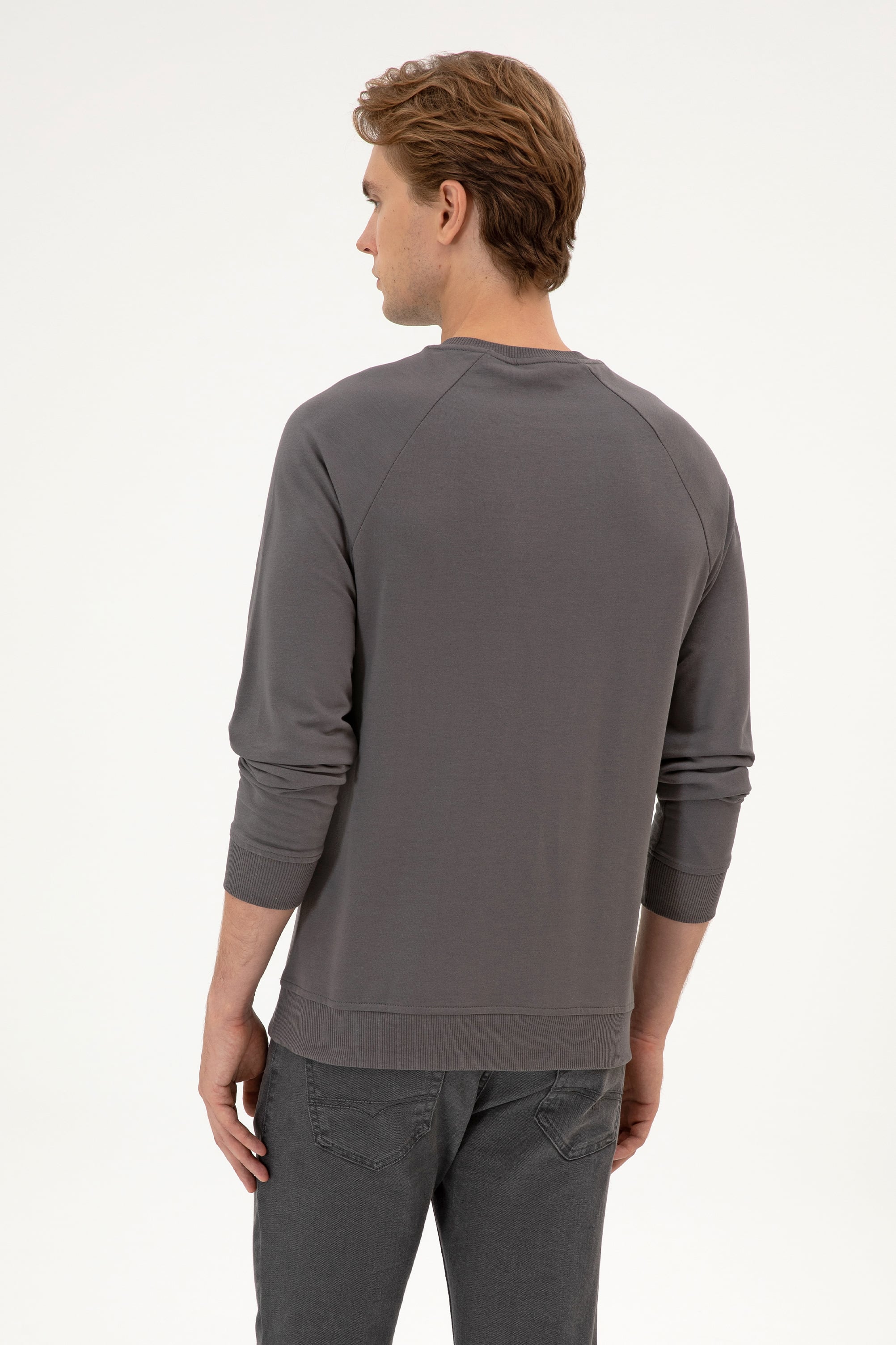 Erkek Regular Fit Bisiklet Yaka Gri İnce Basic Sweatshirt