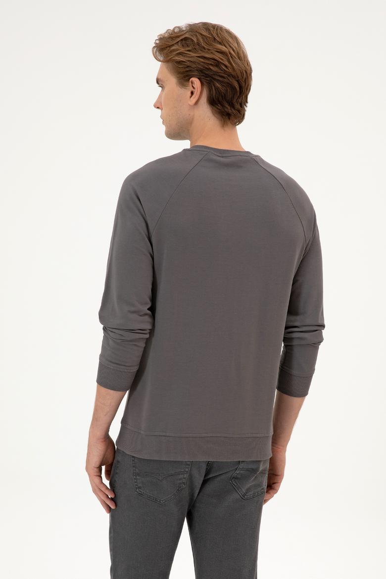 Erkek Regular Fit Bisiklet Yaka Gri İnce Basic Sweatshirt - 50313752107