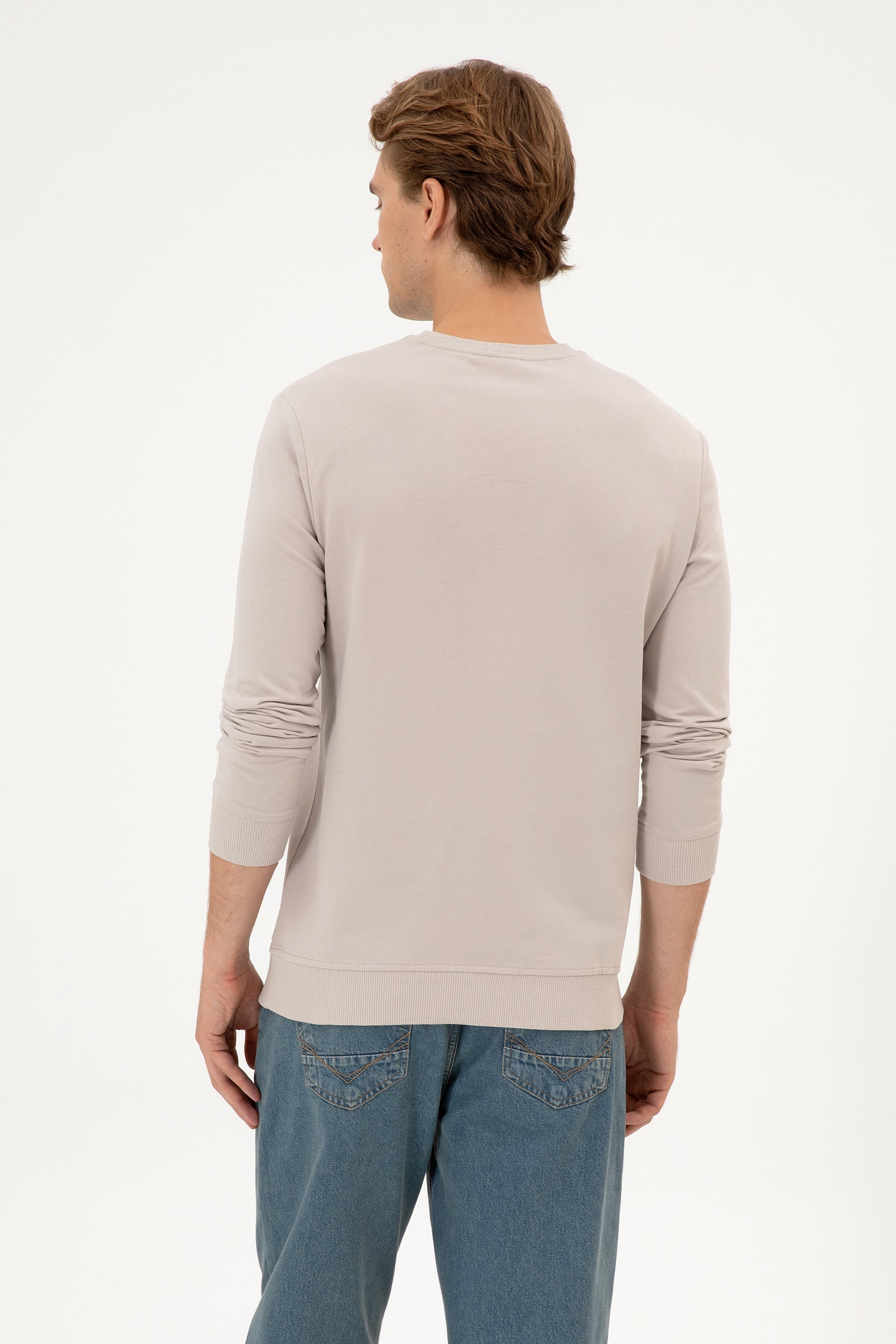 Erkek Regular Fit Bisiklet Yaka Taş İnce Basic Sweatshirt - Image 5