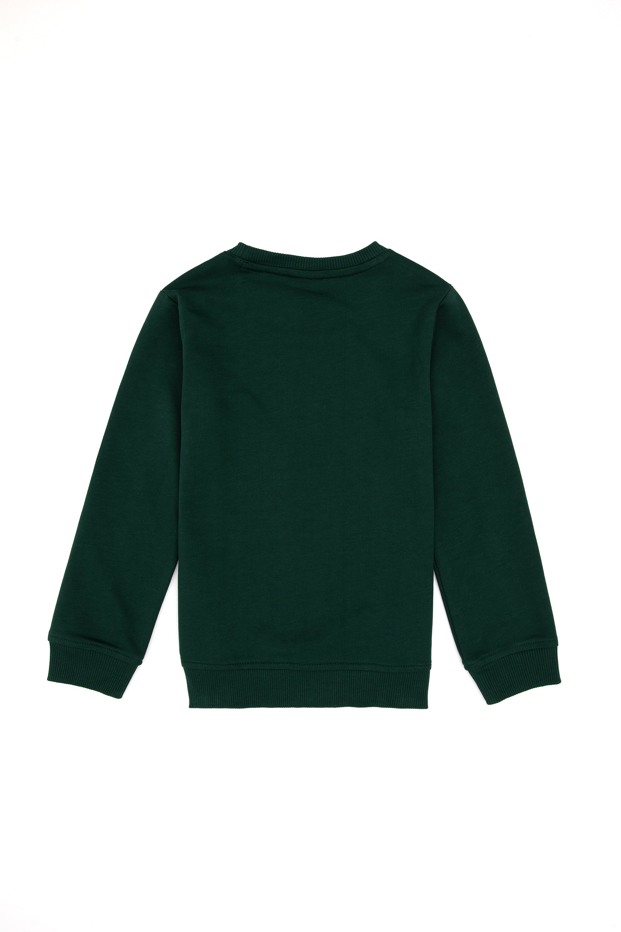 Erkek Çocuk Koyu Yeşil Bisiklet Yaka Basic Sweatshirt - Image 2