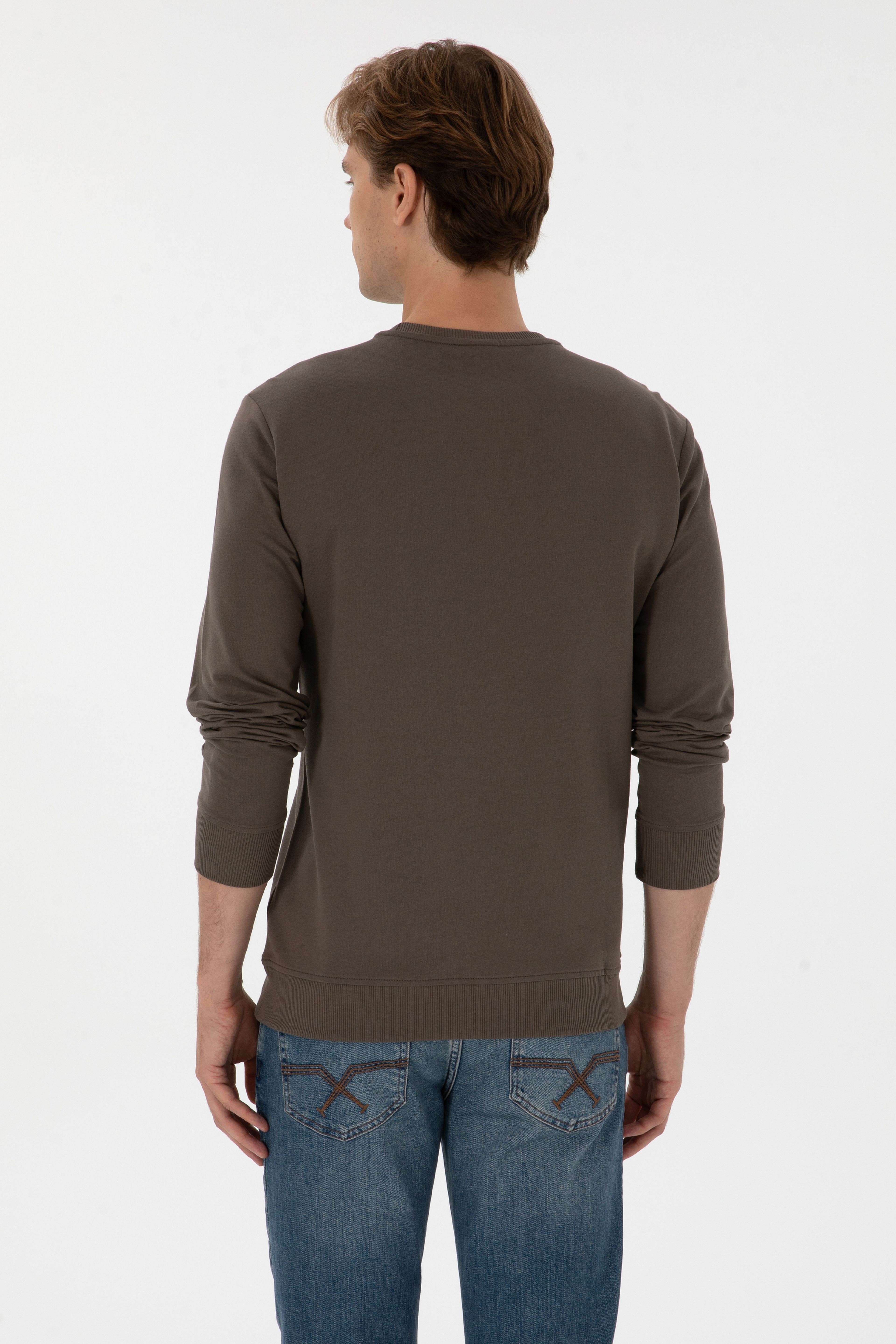 Erkek Regular Fit Bisiklet Yaka Vizon İnce Sweatshirt