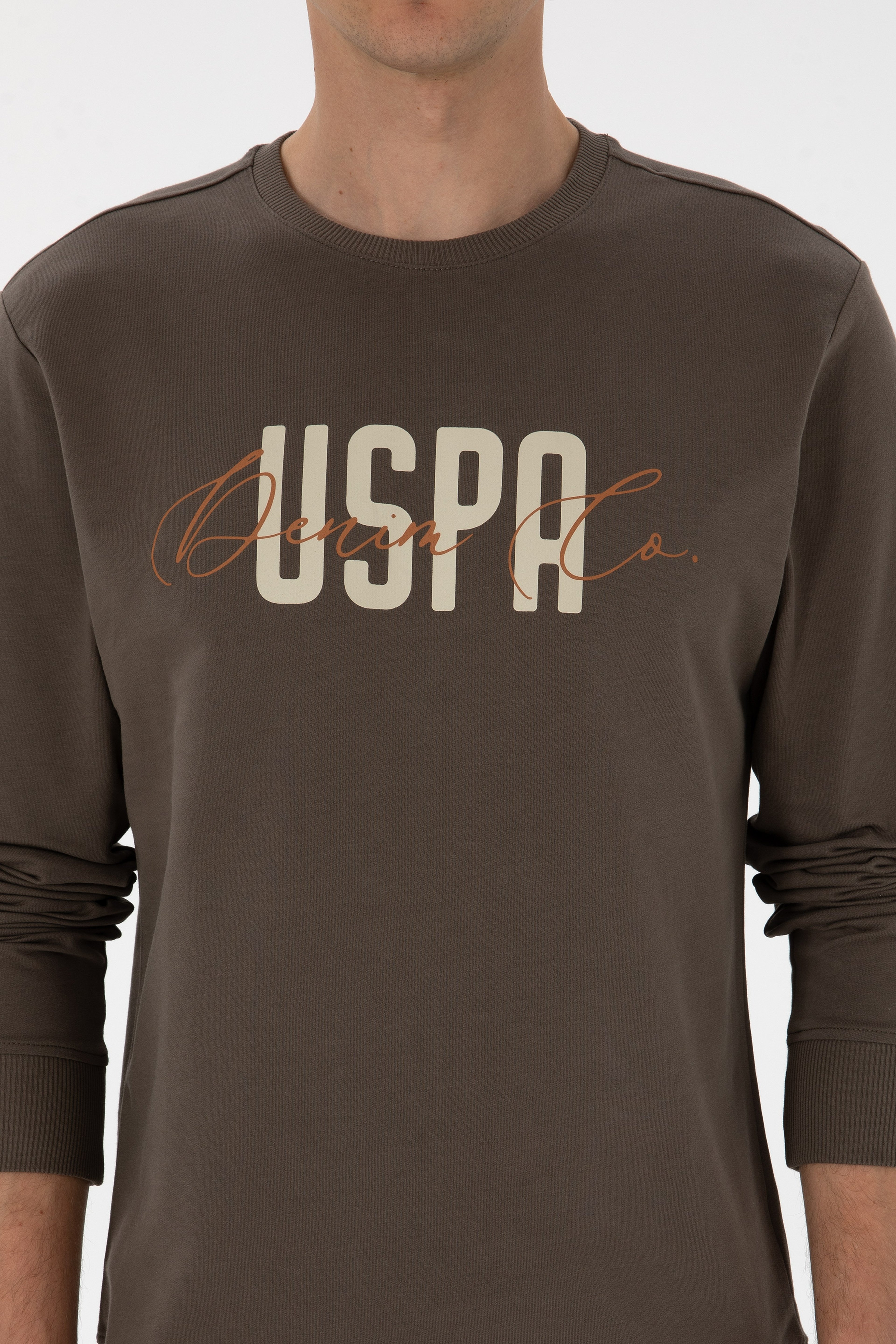 Erkek Regular Fit Bisiklet Yaka Vizon İnce Sweatshirt - Image 6
