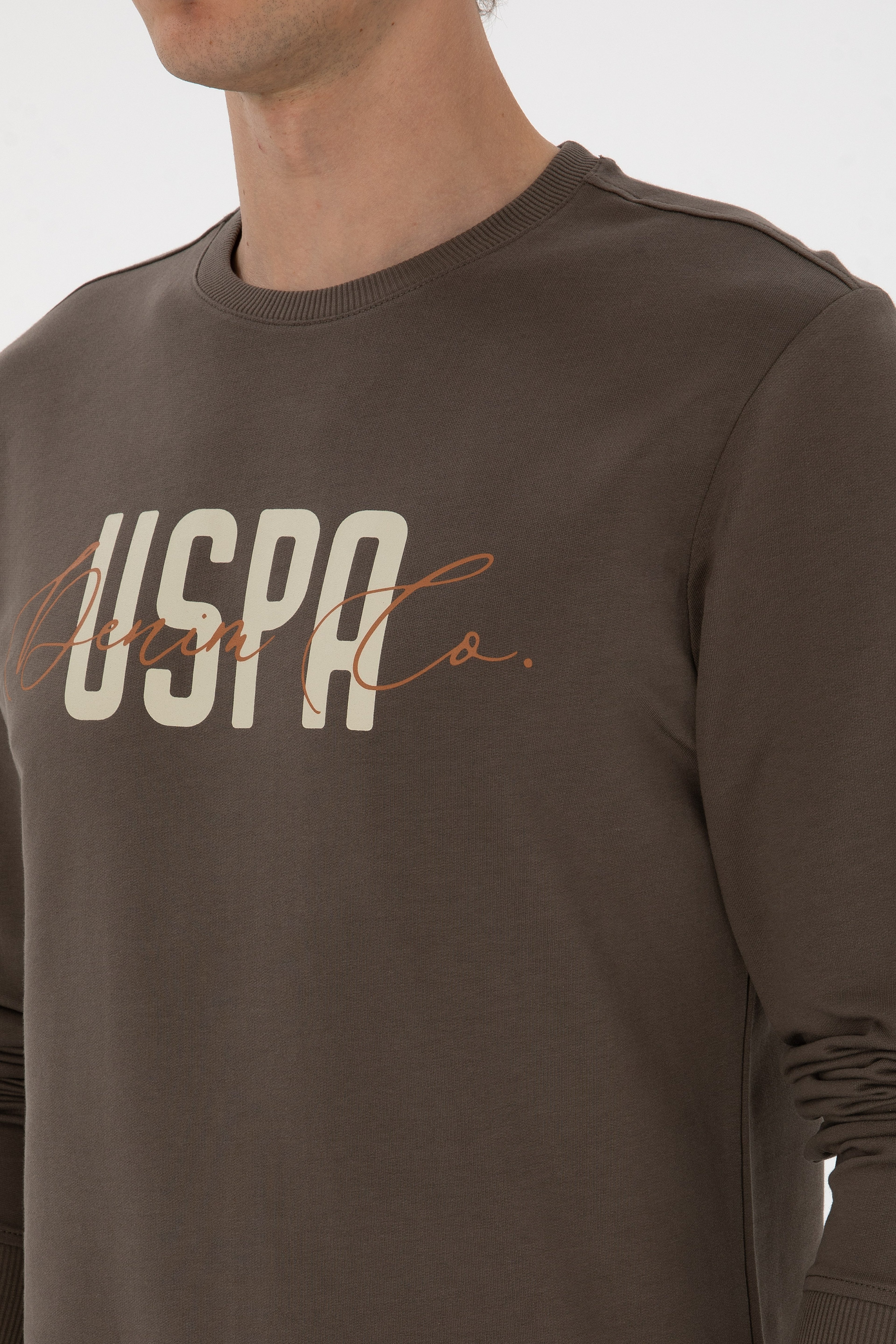 Erkek Regular Fit Bisiklet Yaka Vizon İnce Sweatshirt