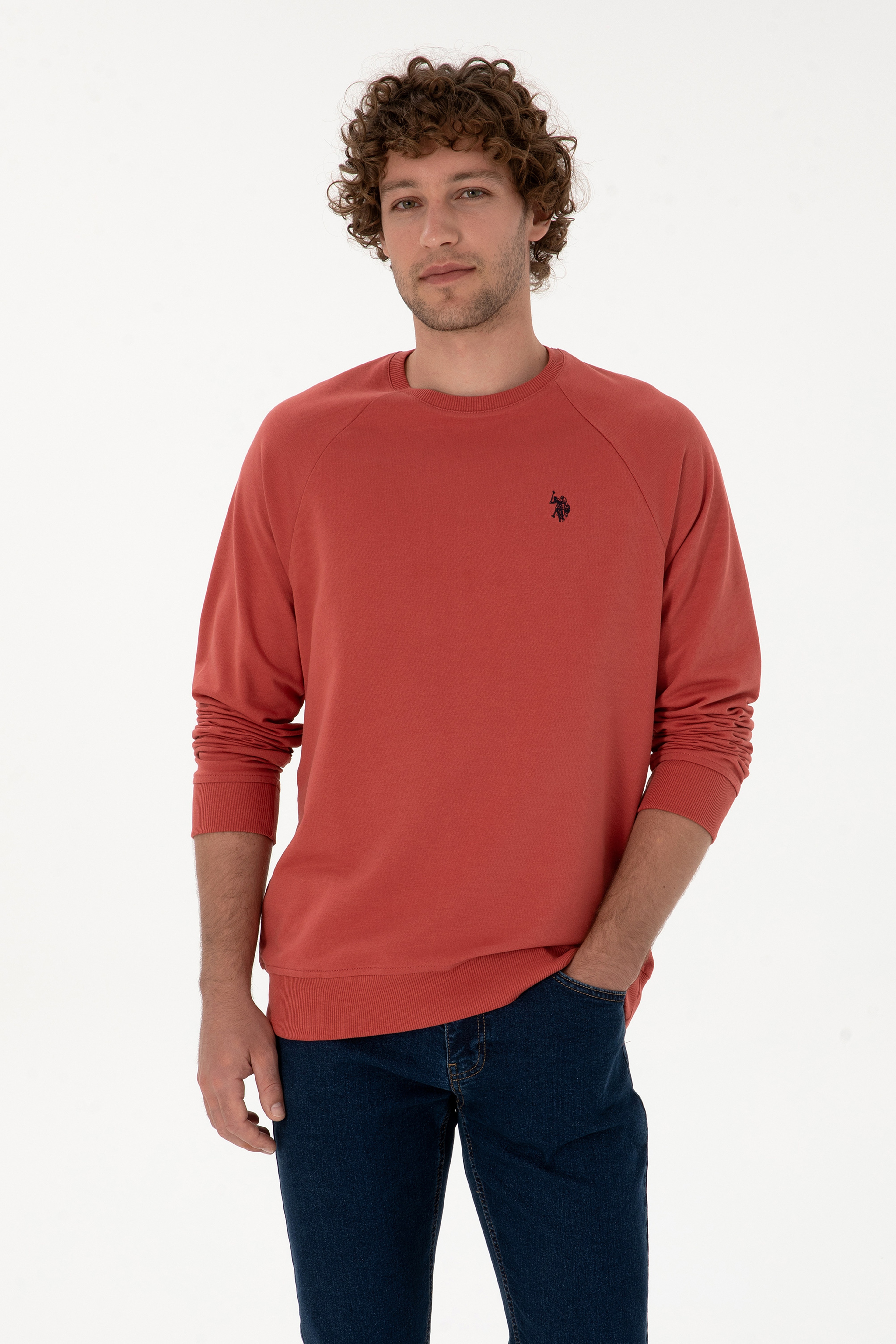 Erkek Regular Fit Bisiklet Yaka Gül Kurusu İnce Basic Sweatshirt - Image 1