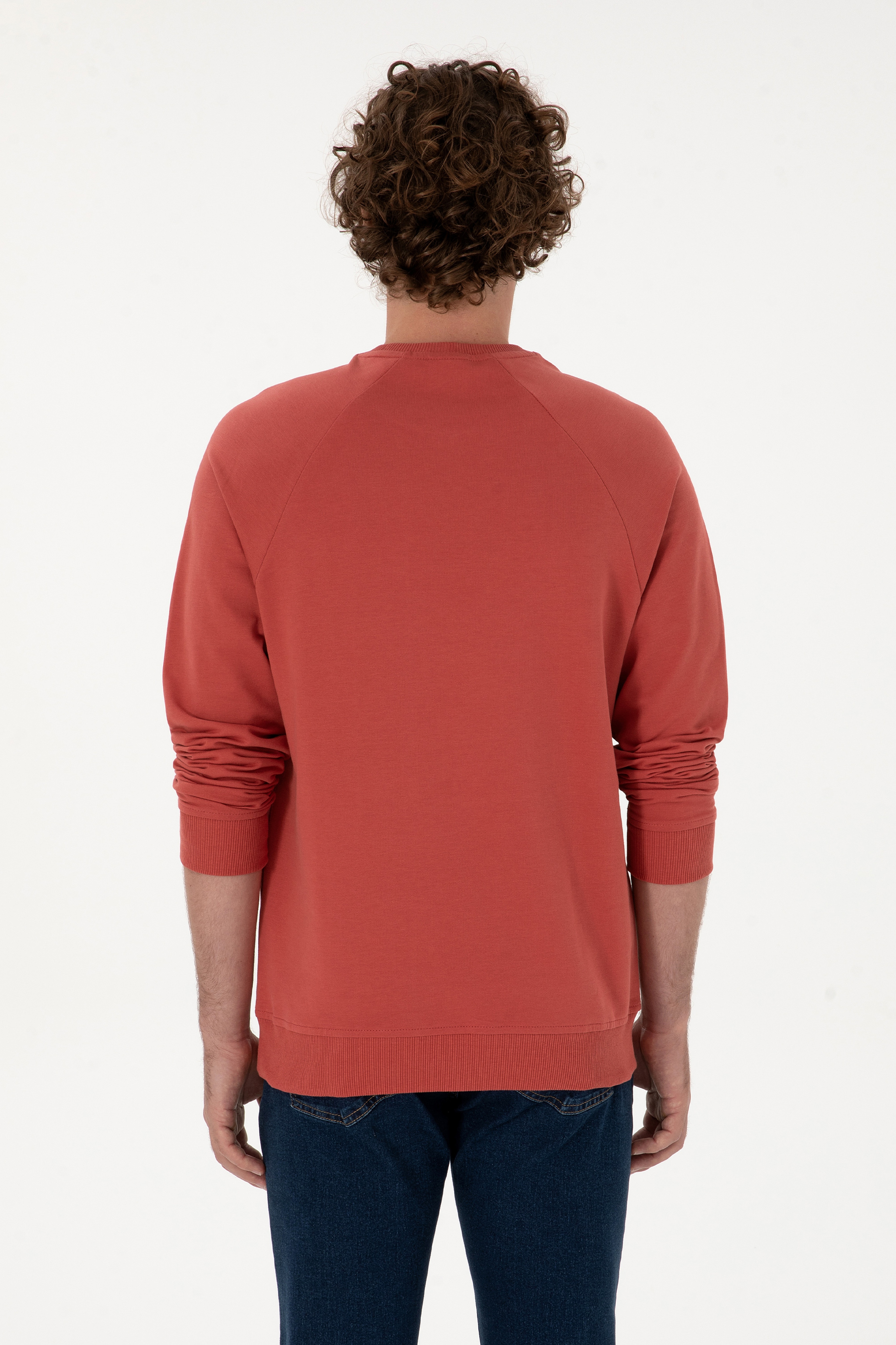 Erkek Regular Fit Bisiklet Yaka Gül Kurusu İnce Basic Sweatshirt