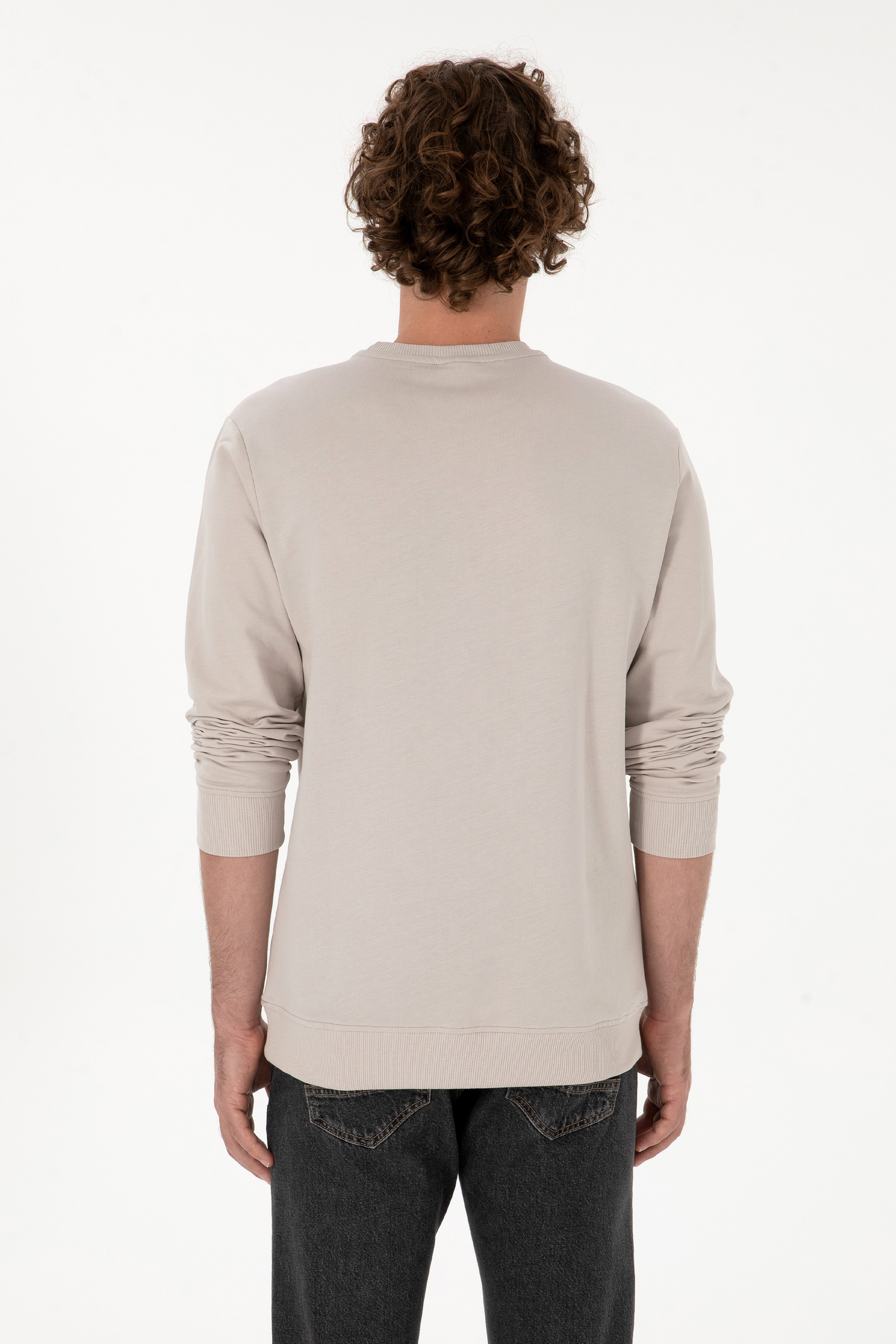 Erkek Regular Fit Bisiklet Yaka Taş İnce Sweatshirt - Image 5