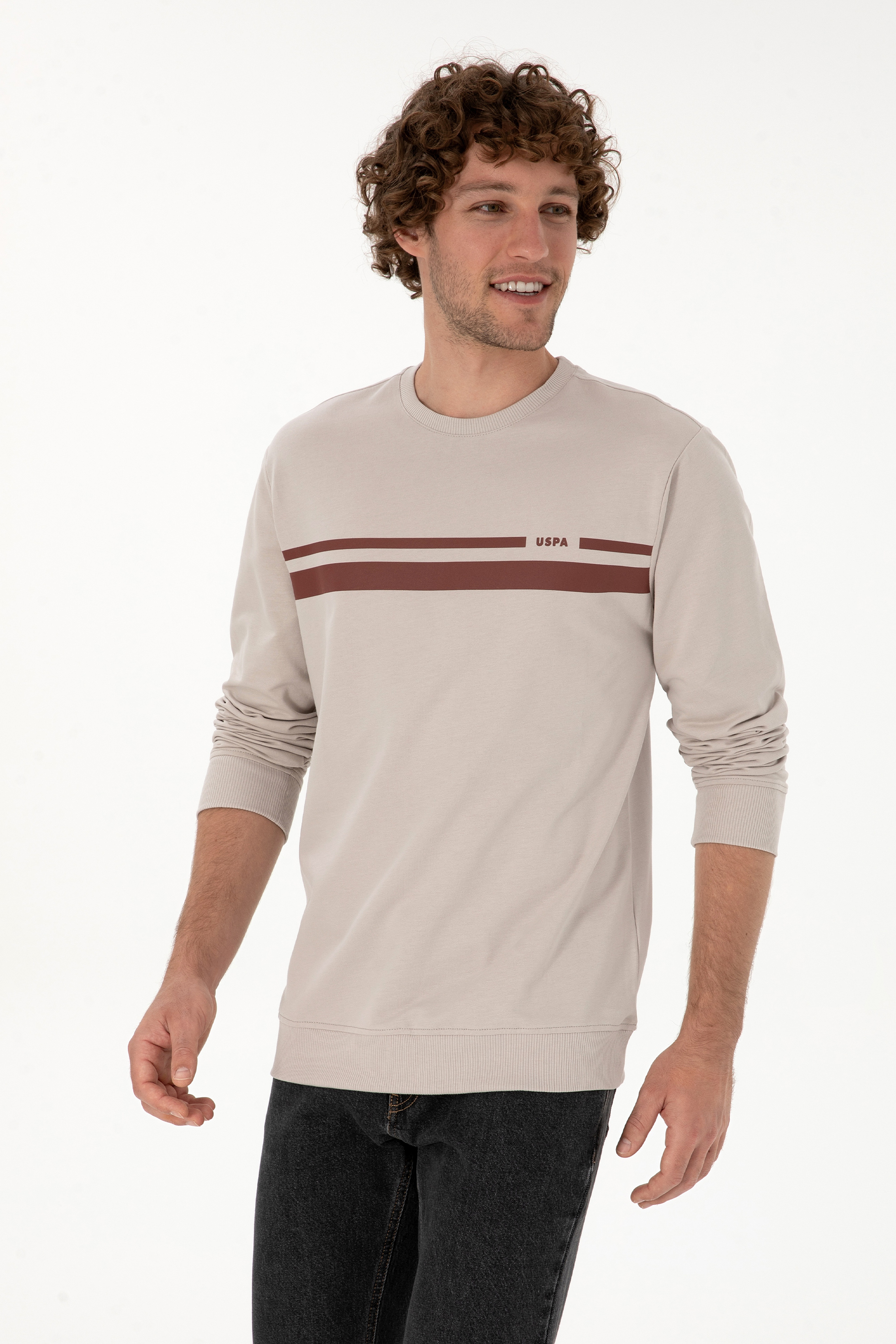 Erkek Regular Fit Bisiklet Yaka Taş İnce Sweatshirt