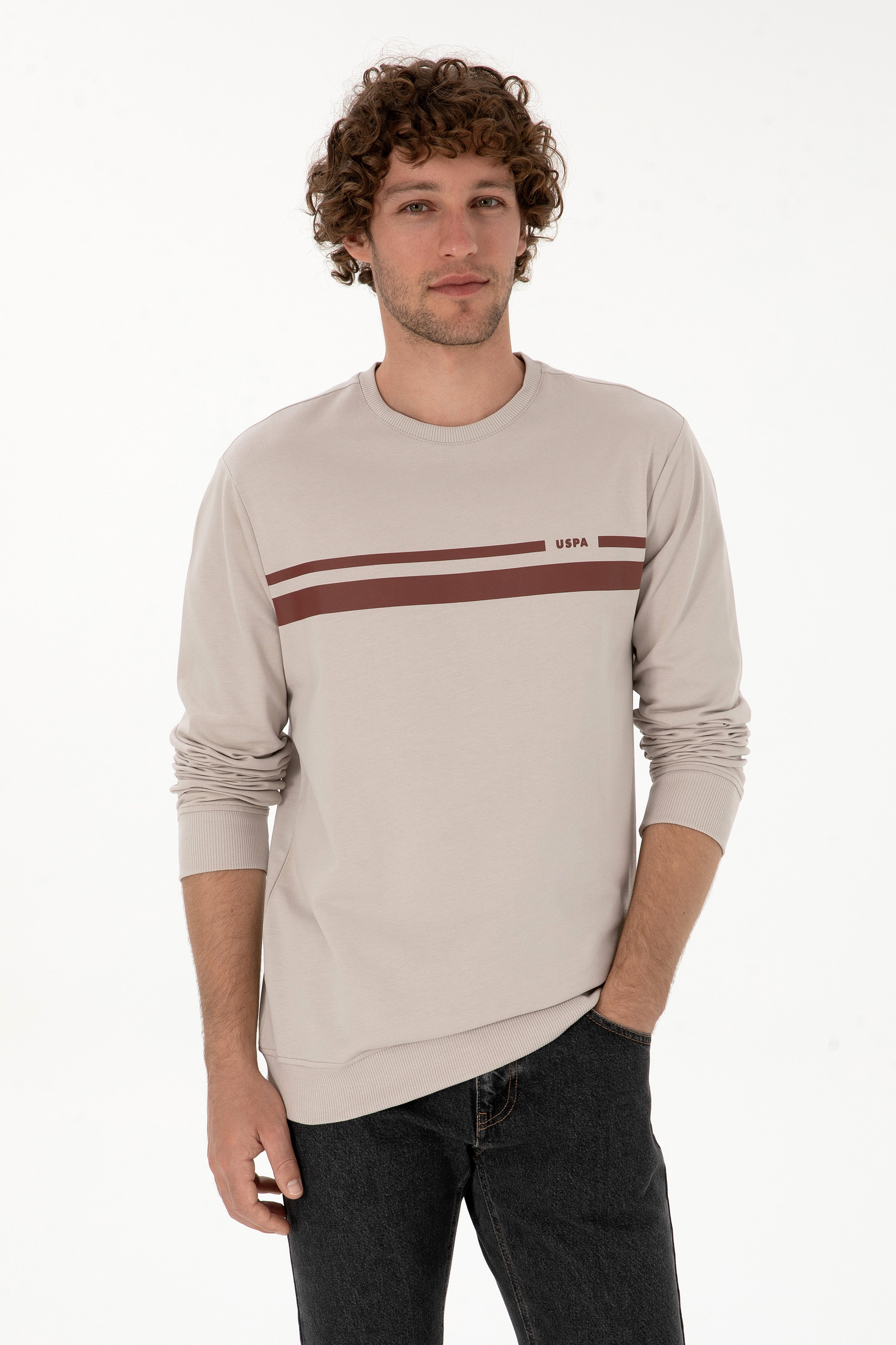 Erkek Regular Fit Bisiklet Yaka Taş İnce Sweatshirt - Image 1