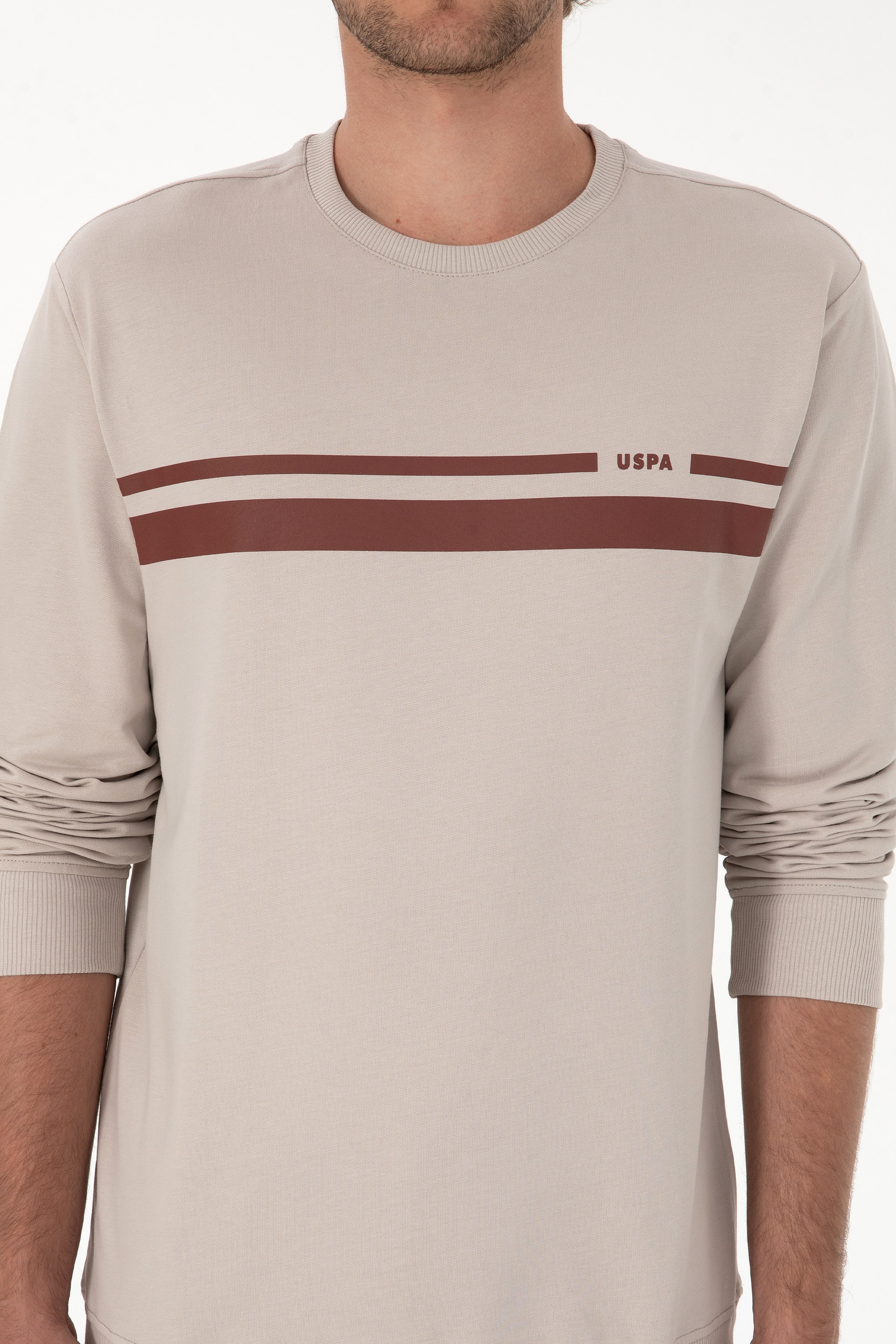 Erkek Regular Fit Bisiklet Yaka Taş İnce Sweatshirt - Image 6