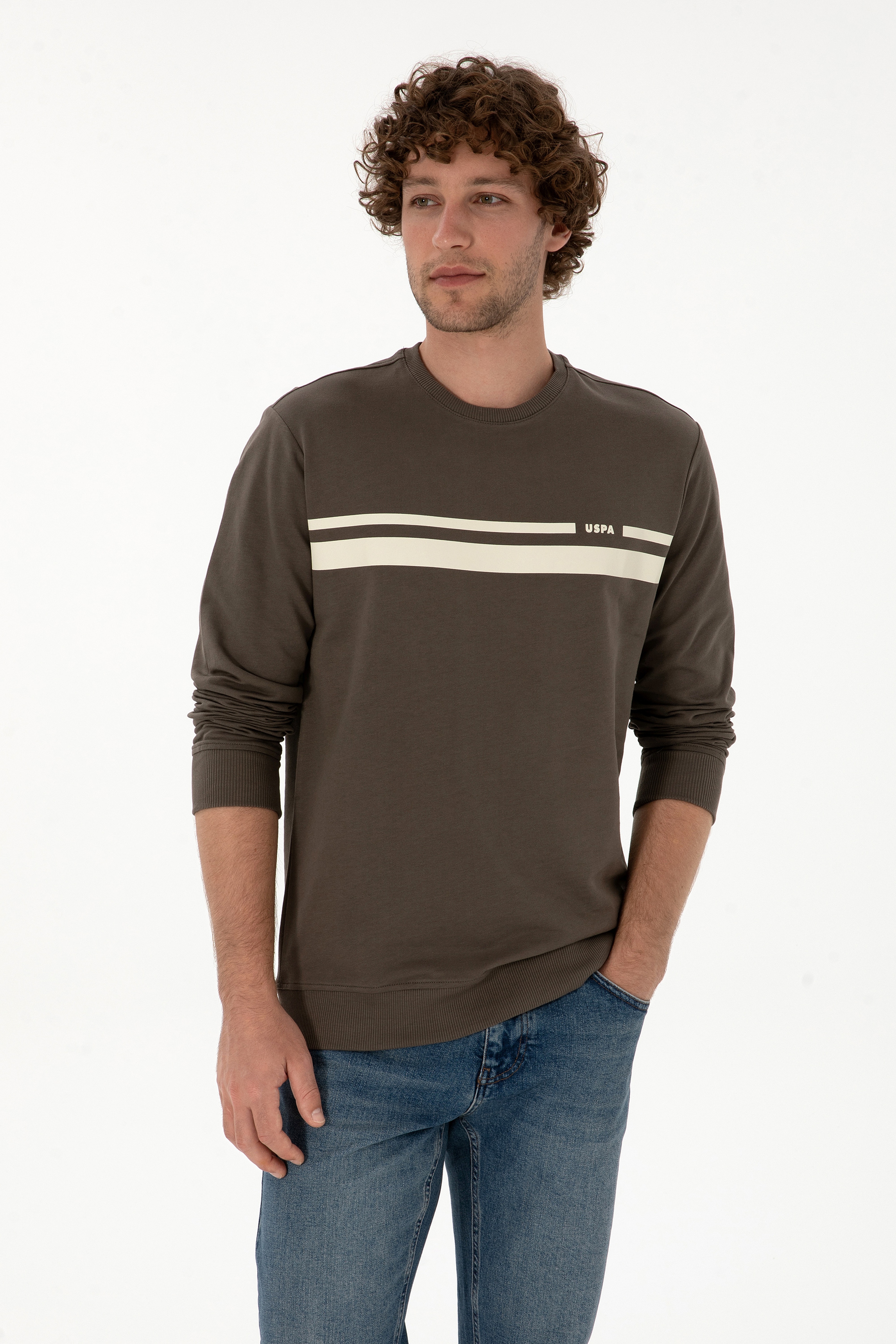 Erkek Regular Fit Bisiklet Yaka Vizon İnce Sweatshirt - Image 1