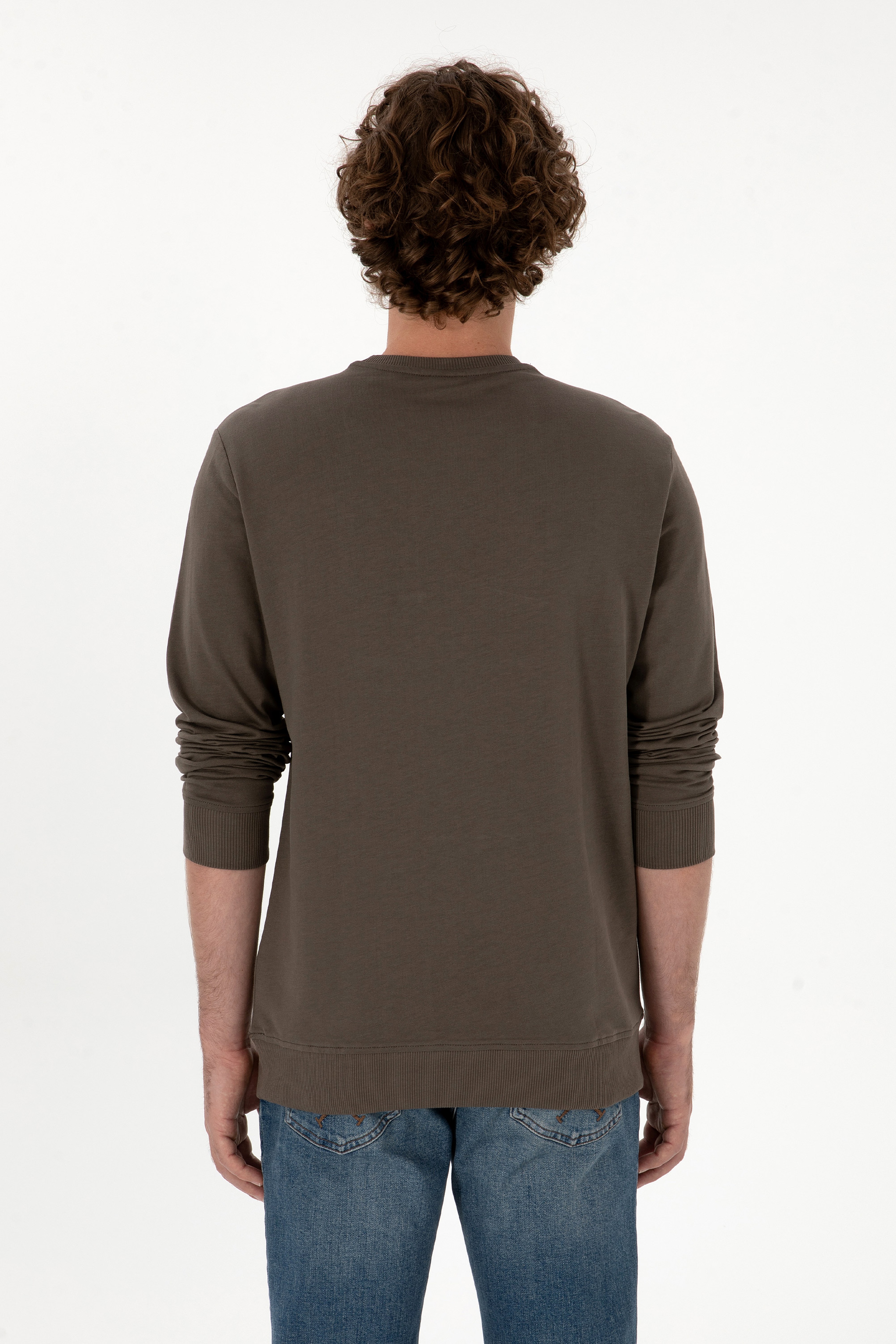 Erkek Regular Fit Bisiklet Yaka Vizon İnce Sweatshirt