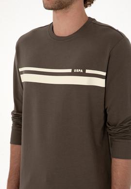 Erkek Regular Fit Bisiklet Yaka Vizon İnce Sweatshirt - 50313801023