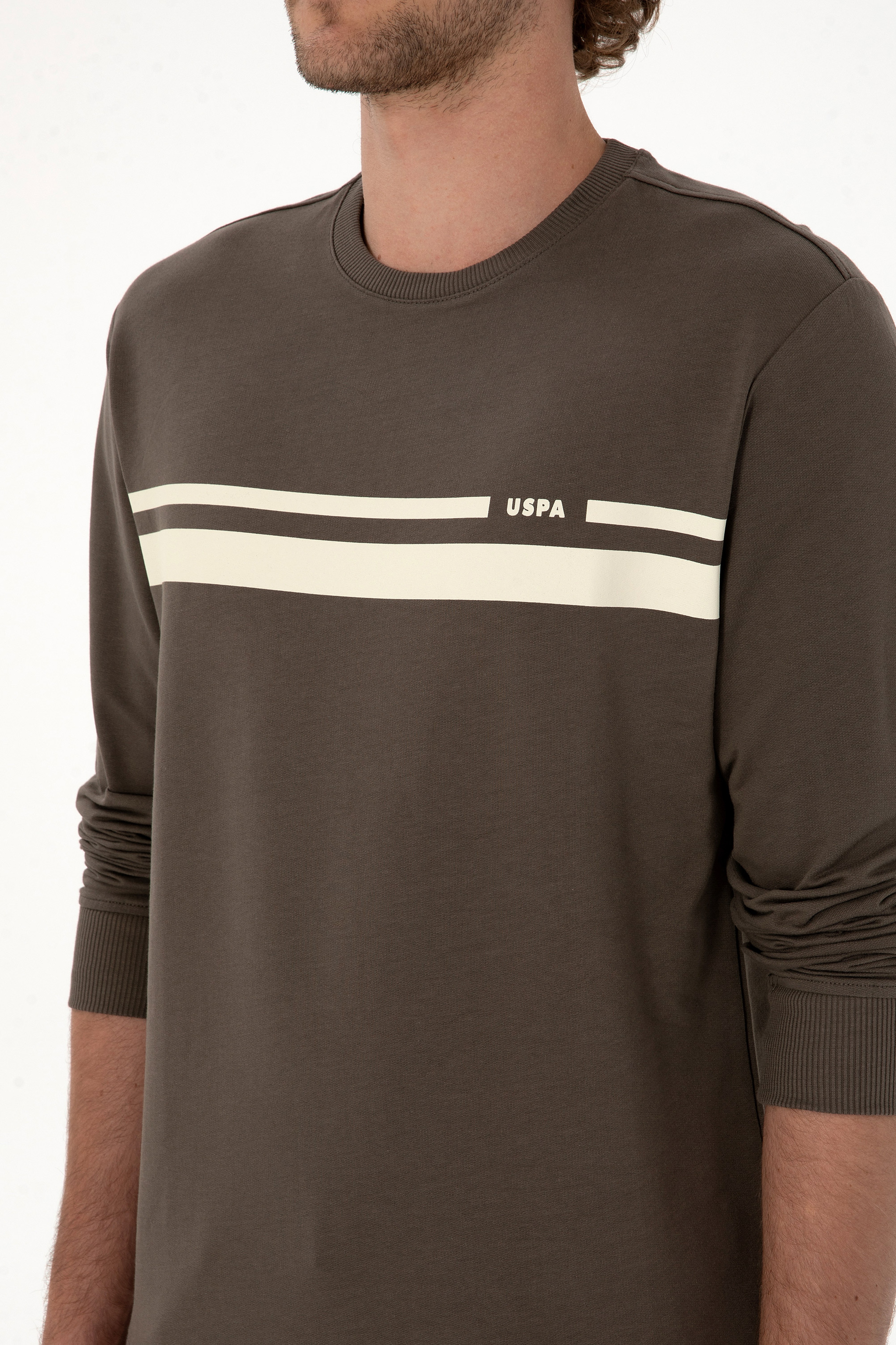 Erkek Regular Fit Bisiklet Yaka Vizon İnce Sweatshirt