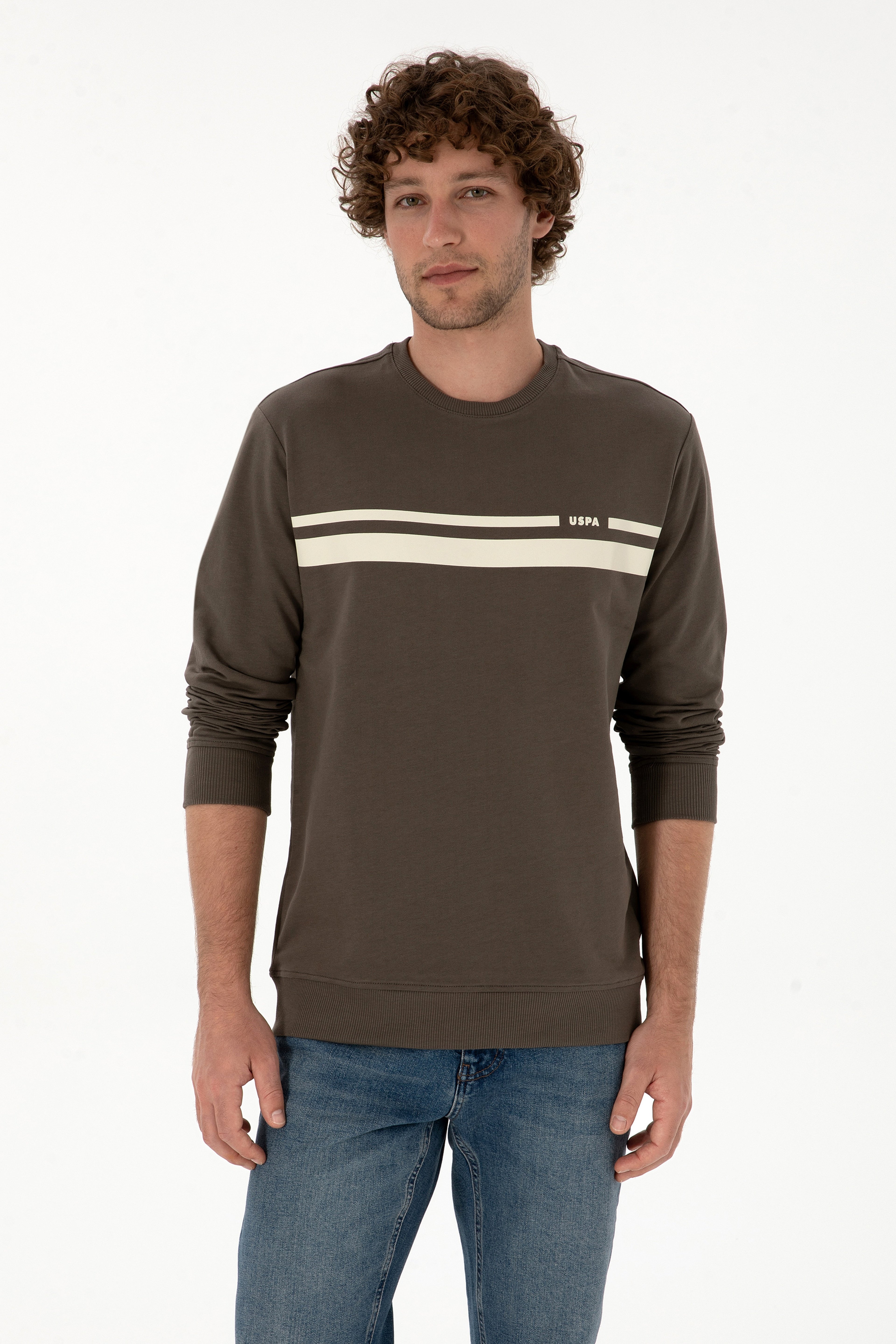 Erkek Regular Fit Bisiklet Yaka Vizon İnce Sweatshirt