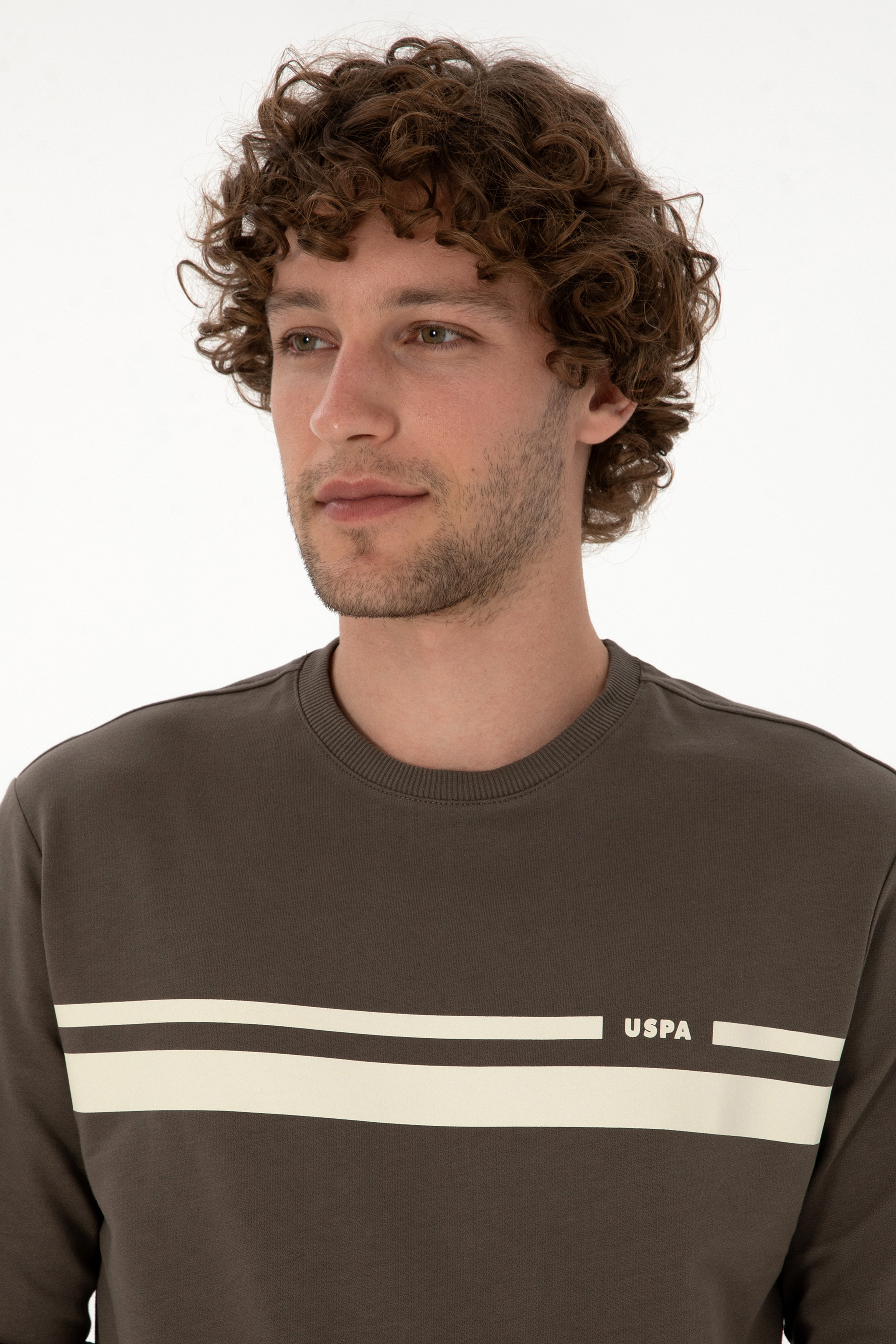 Erkek Regular Fit Bisiklet Yaka Vizon İnce Sweatshirt