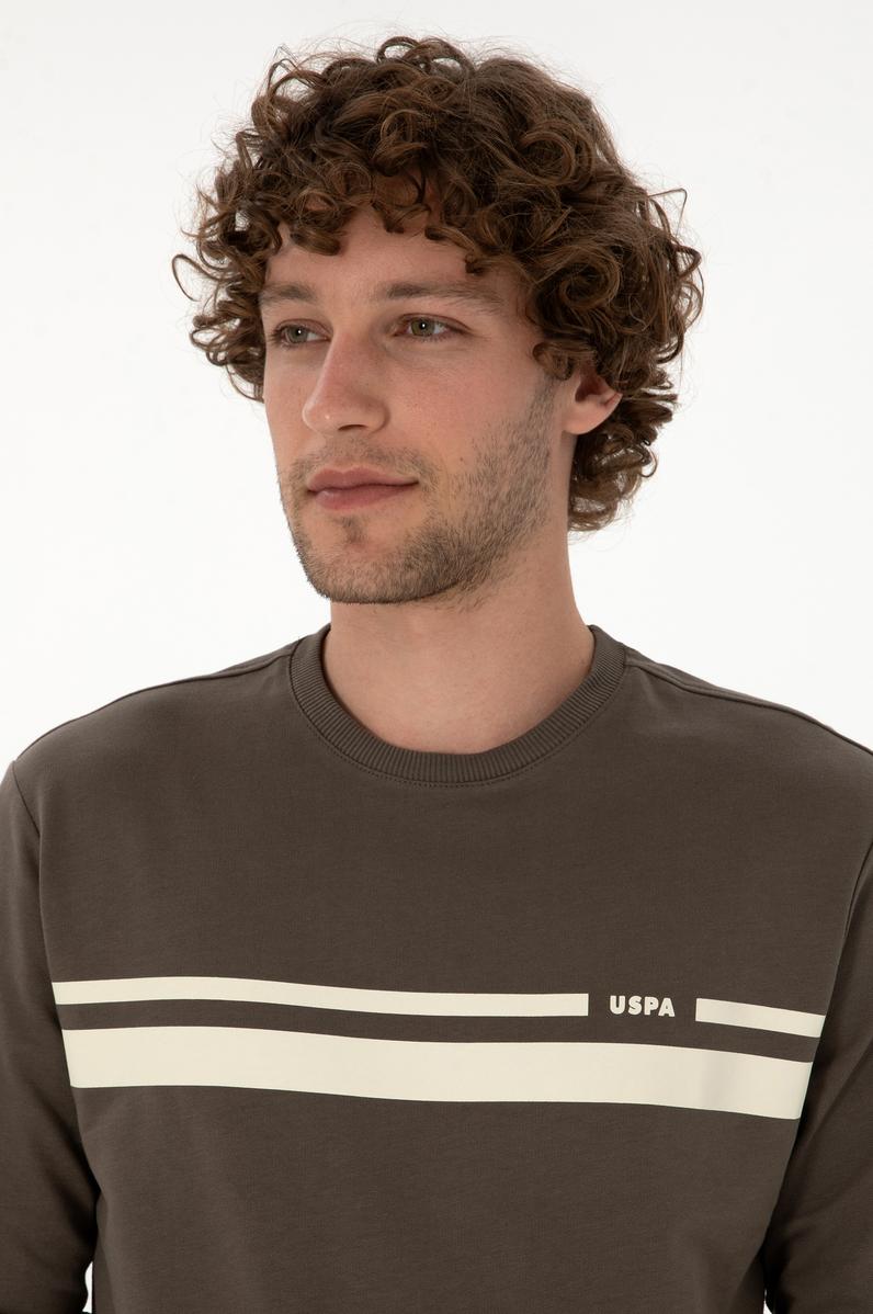 Erkek Regular Fit Bisiklet Yaka Vizon İnce Sweatshirt