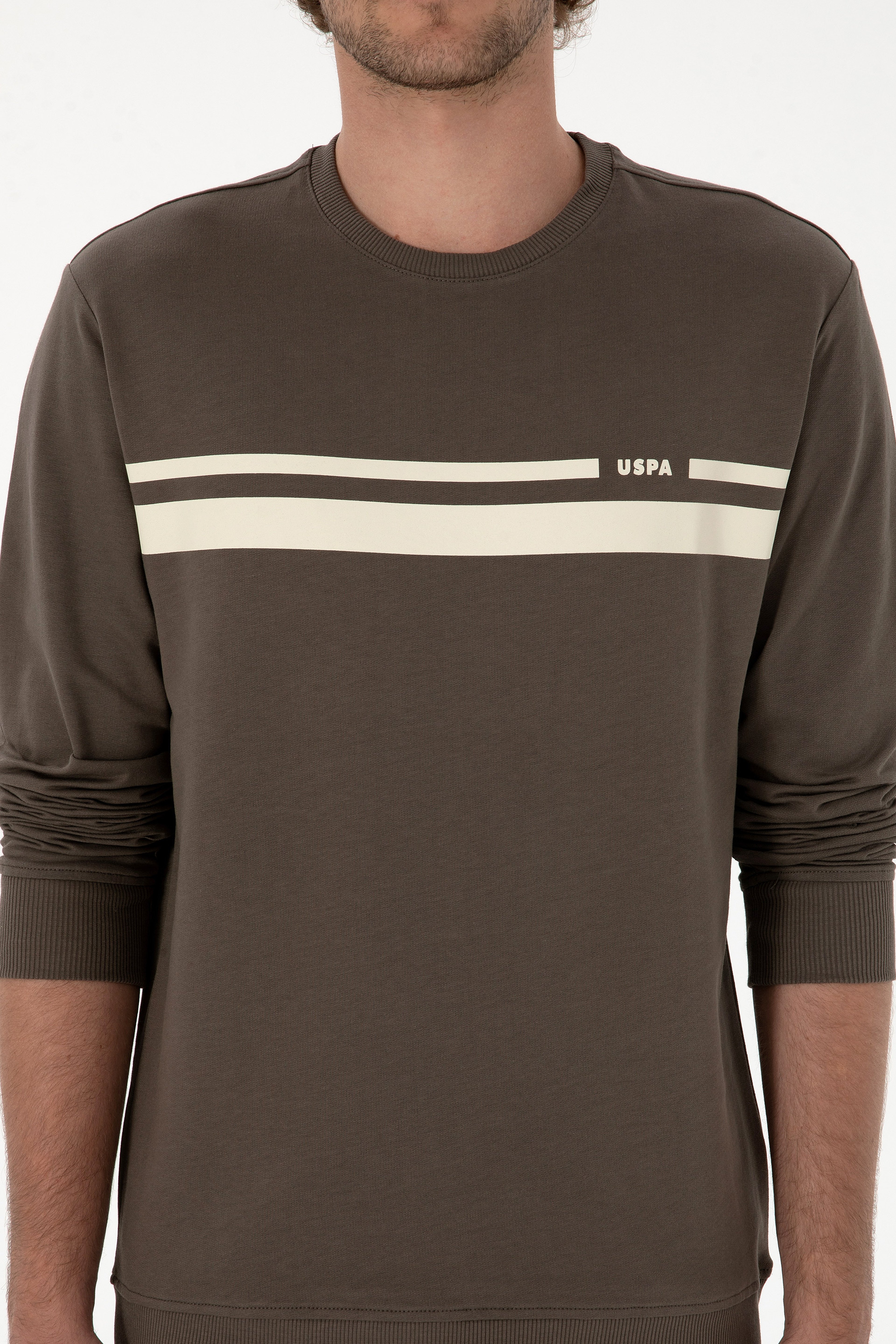 Erkek Regular Fit Bisiklet Yaka Vizon İnce Sweatshirt