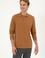 Erkek Regular Fit Polo Yaka Camel Basic Sweatshirt