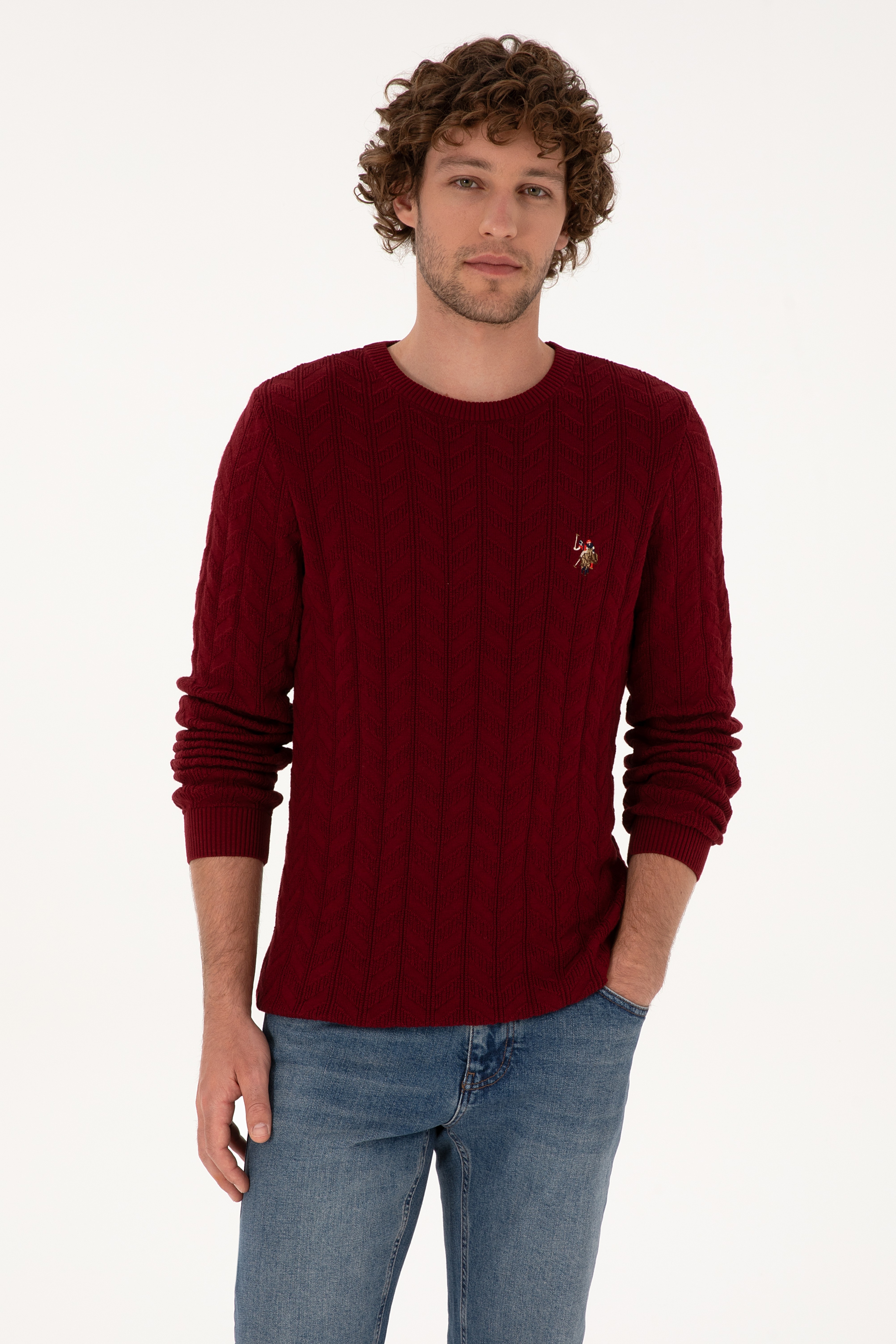 Erkek Slim Fit Bisiklet Yaka Desenli Bordo Kazak - Image 3