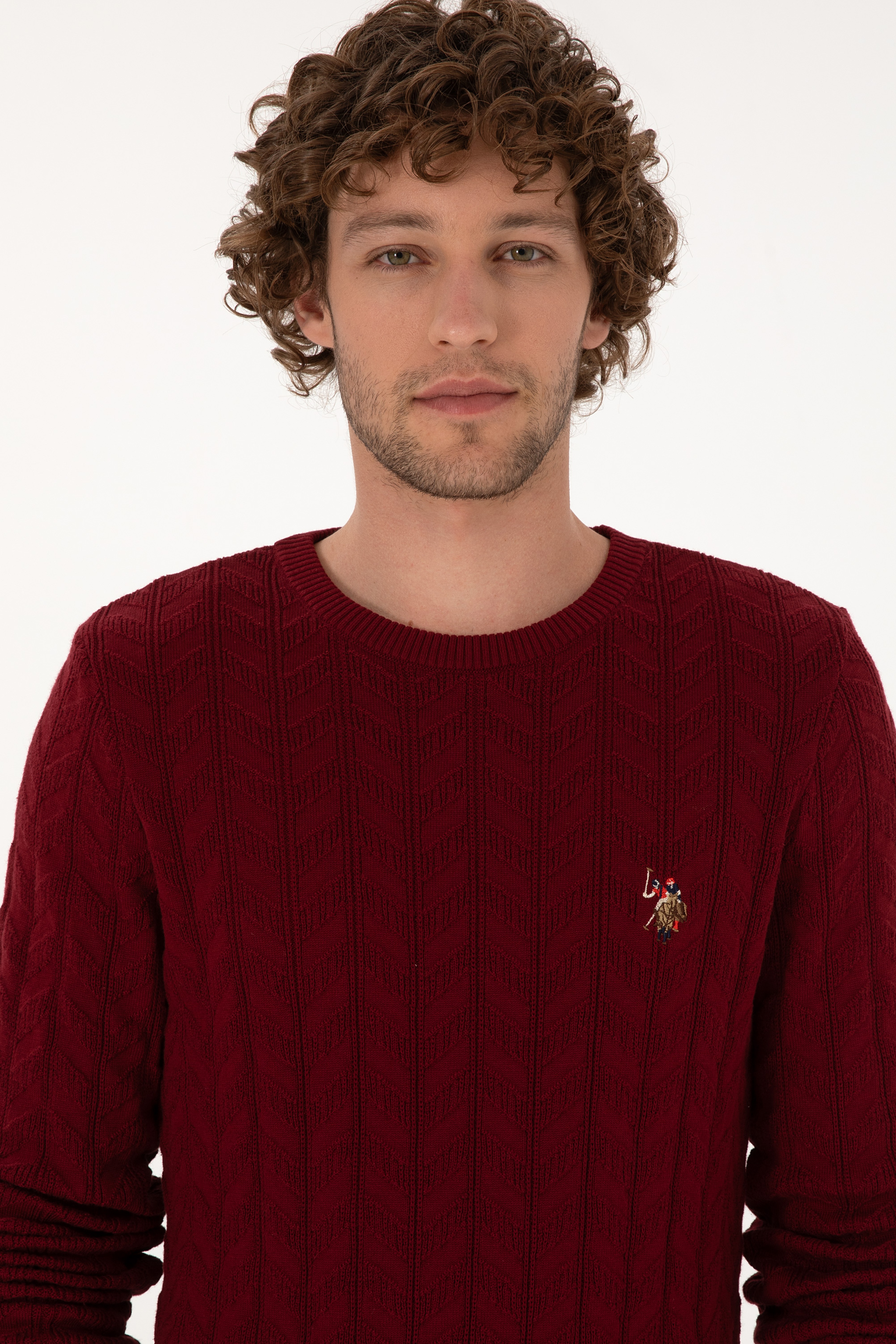 Erkek Slim Fit Bisiklet Yaka Desenli Bordo Kazak
