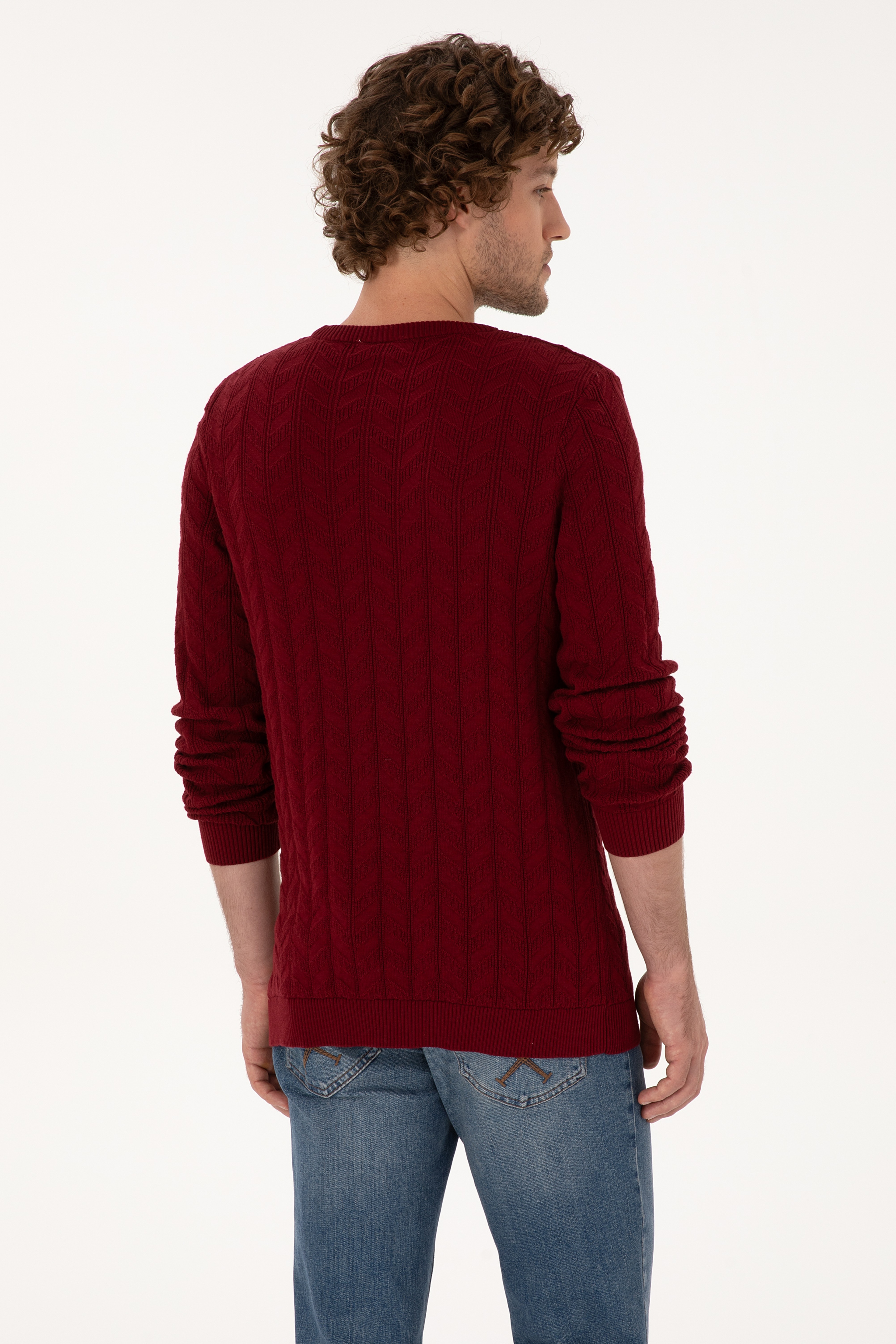 Erkek Slim Fit Bisiklet Yaka Desenli Bordo Kazak