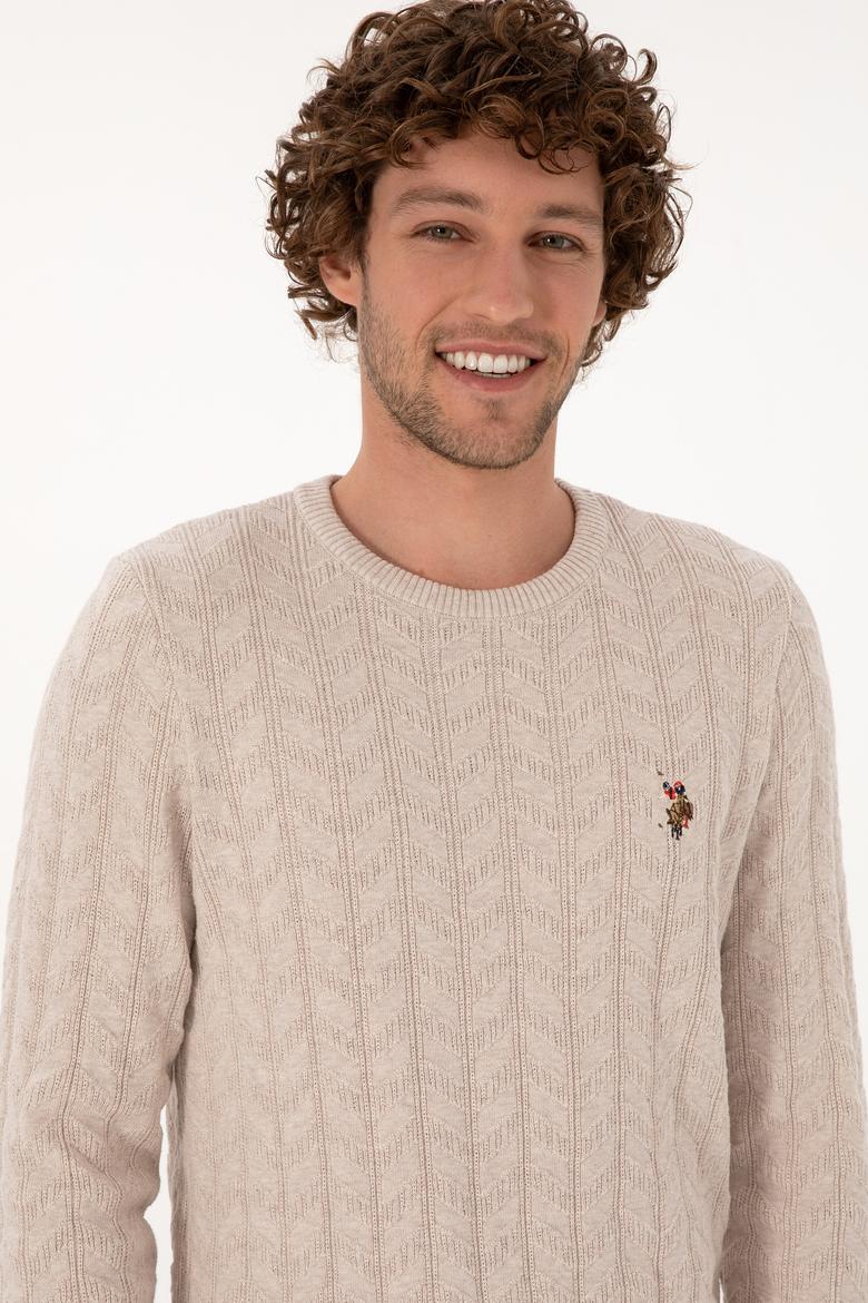 Erkek Slim Fit Bisiklet Yaka Desenli Taş Melanj Kazak - 50307836051