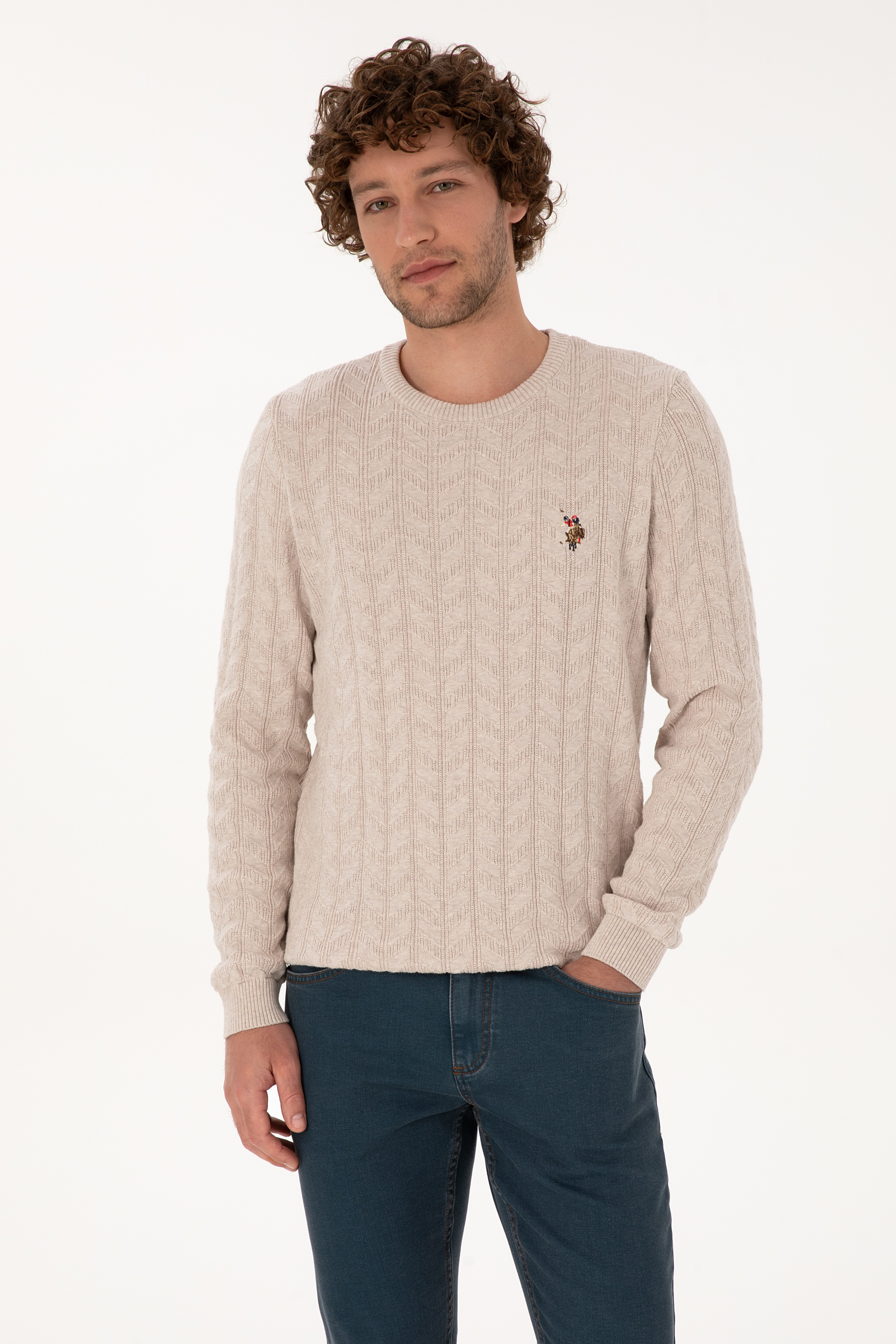 Erkek Slim Fit Bisiklet Yaka Desenli Taş Melanj Kazak - Image 1