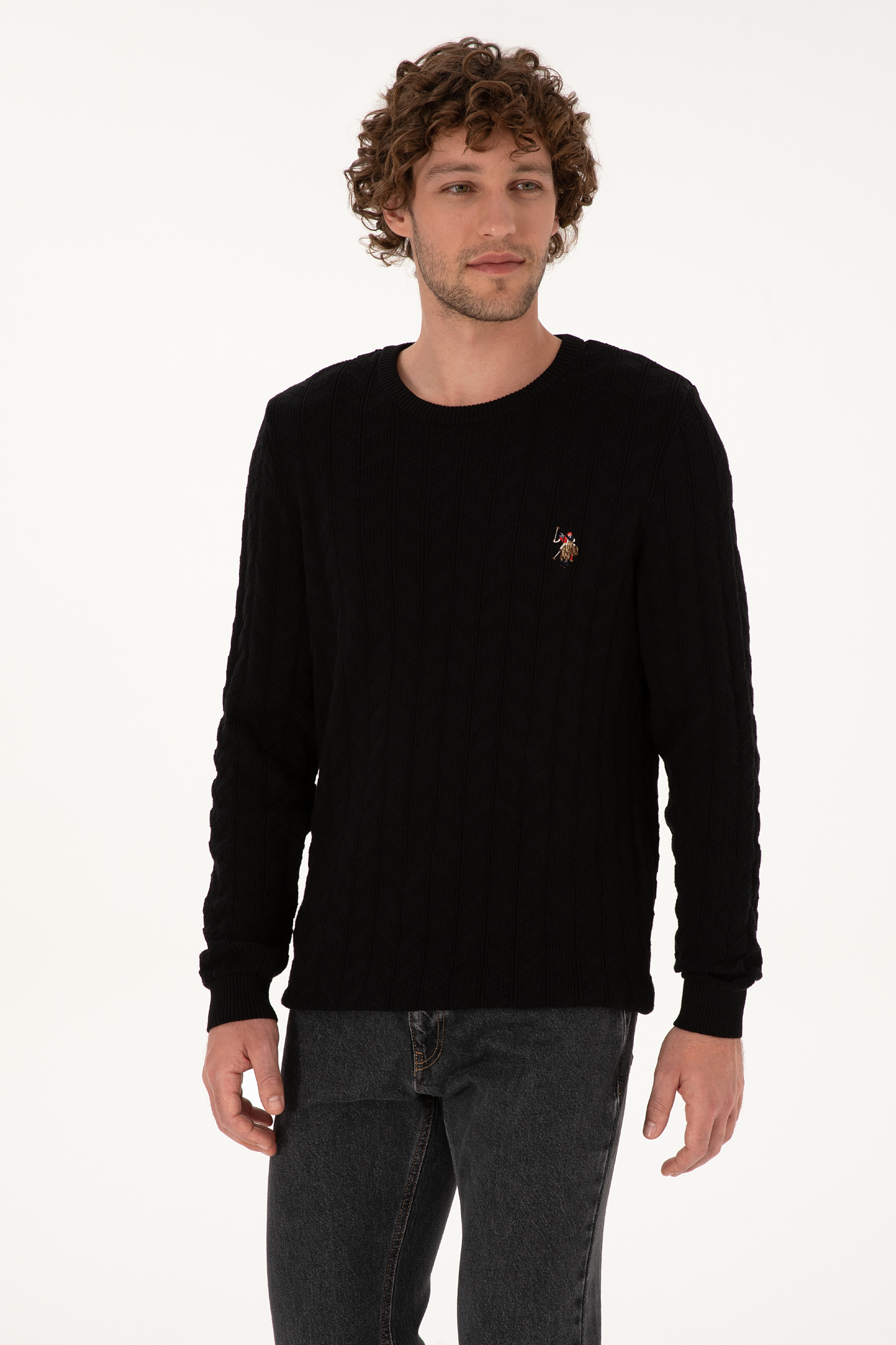 Erkek Slim Fit Bisiklet Yaka Desenli Siyah Kazak - Image 3