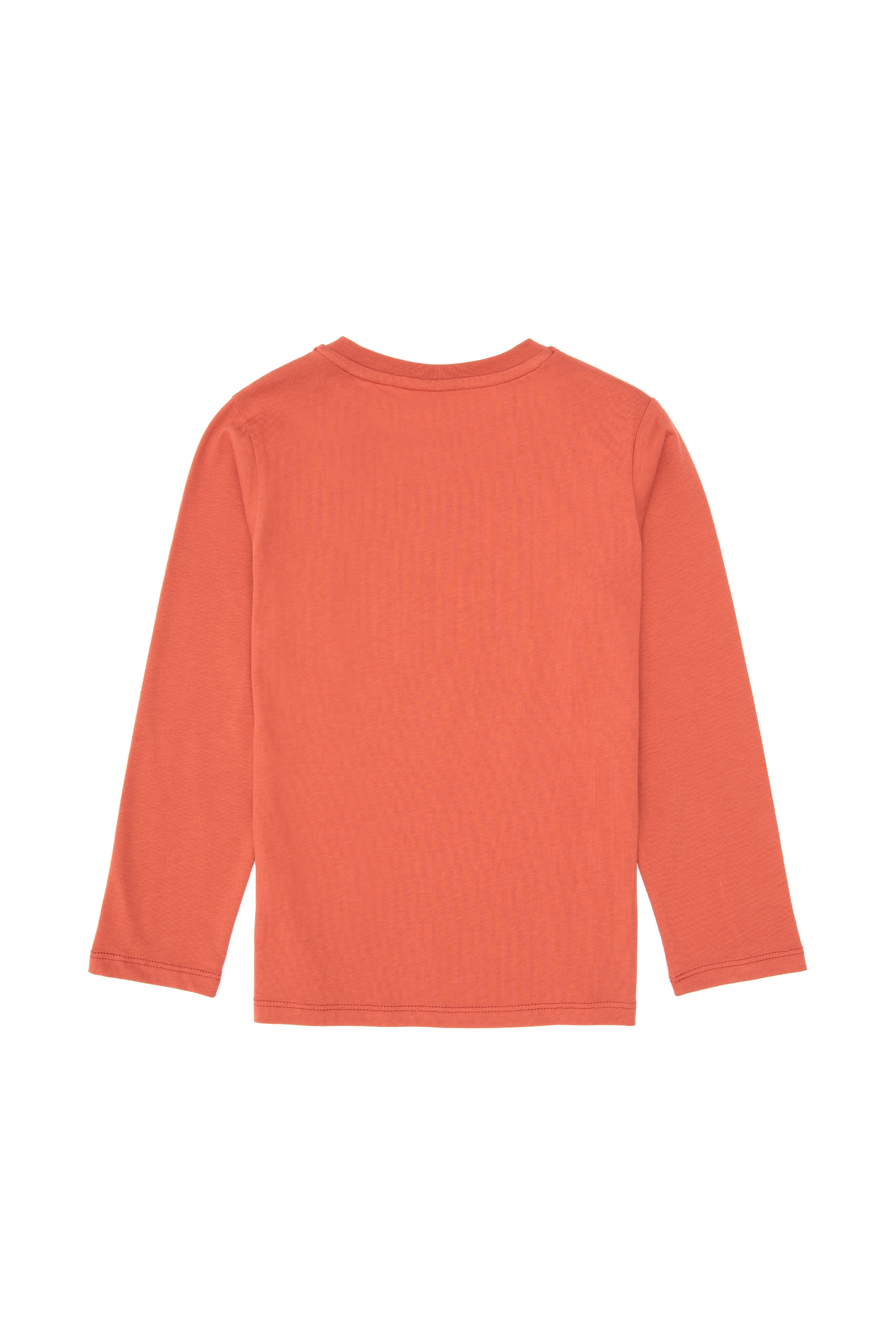 Erkek Çocuk Gül Kurusu Bisiklet Yaka Süprem Sweatshirt