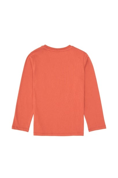 Erkek Çocuk Gül Kurusu Bisiklet Yaka Süprem Sweatshirt