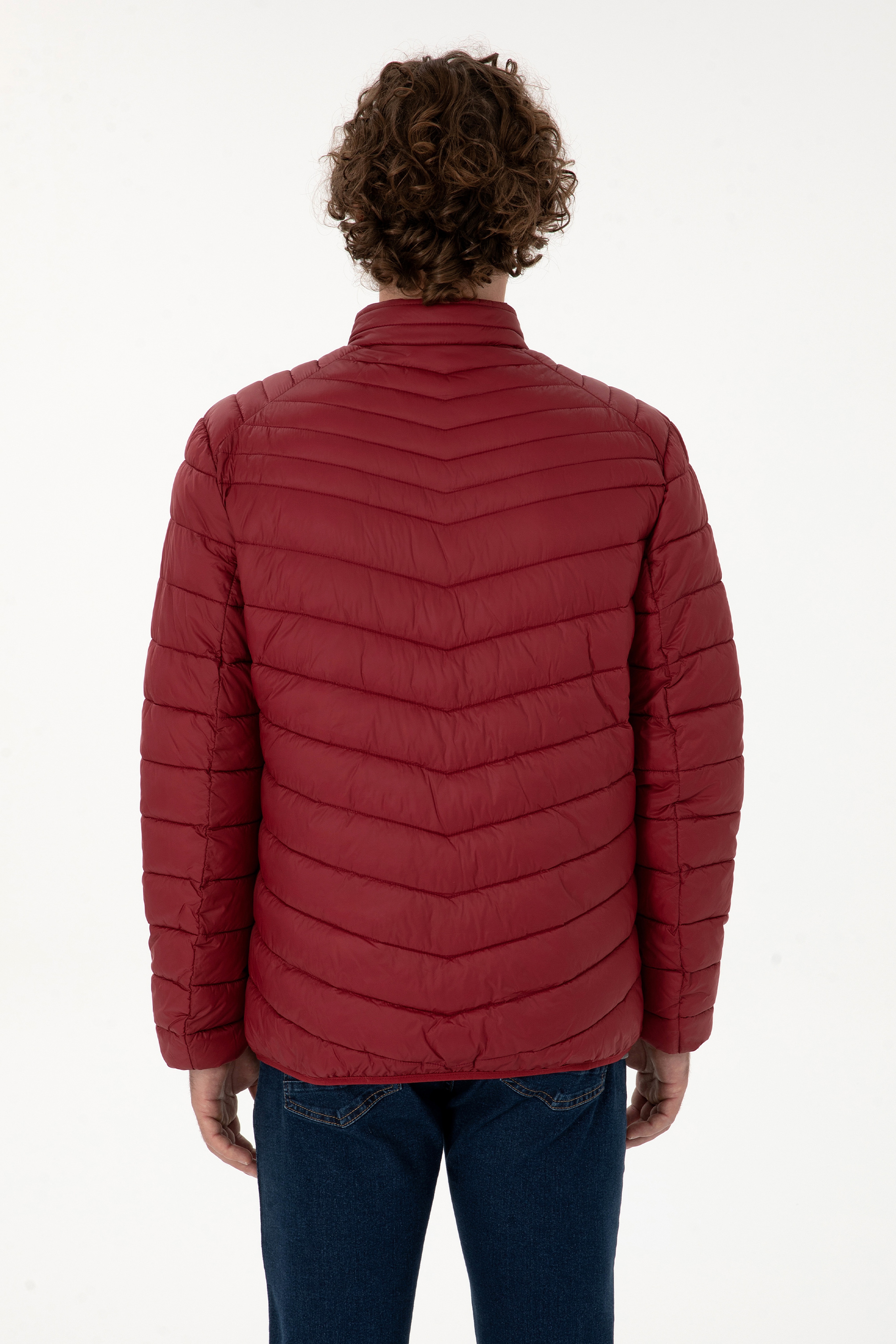 Erkek Bordo Mont