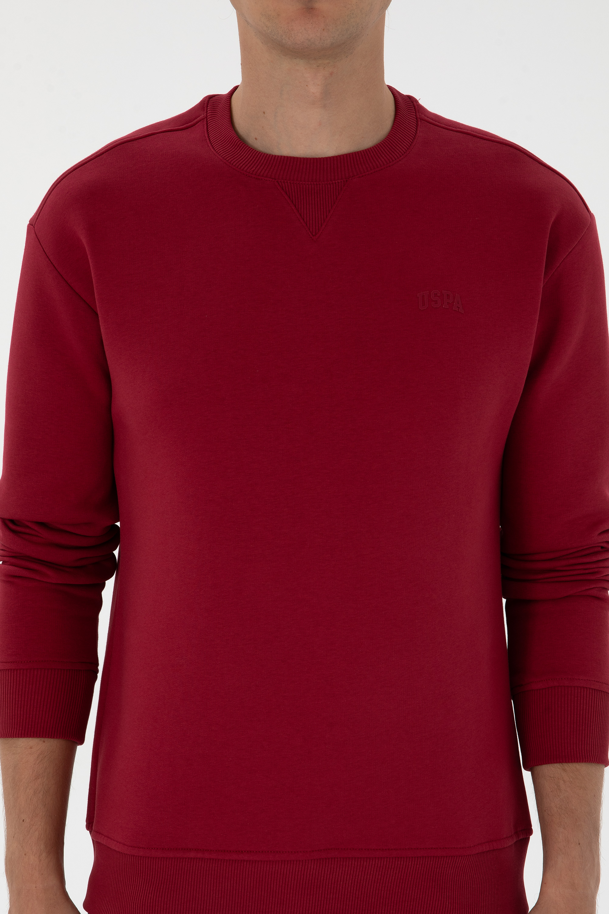 Erkek Comfort Fit Bisiklet Yaka Şardonlu Koyu Frambuaz Basic Sweatshirt - Image 6