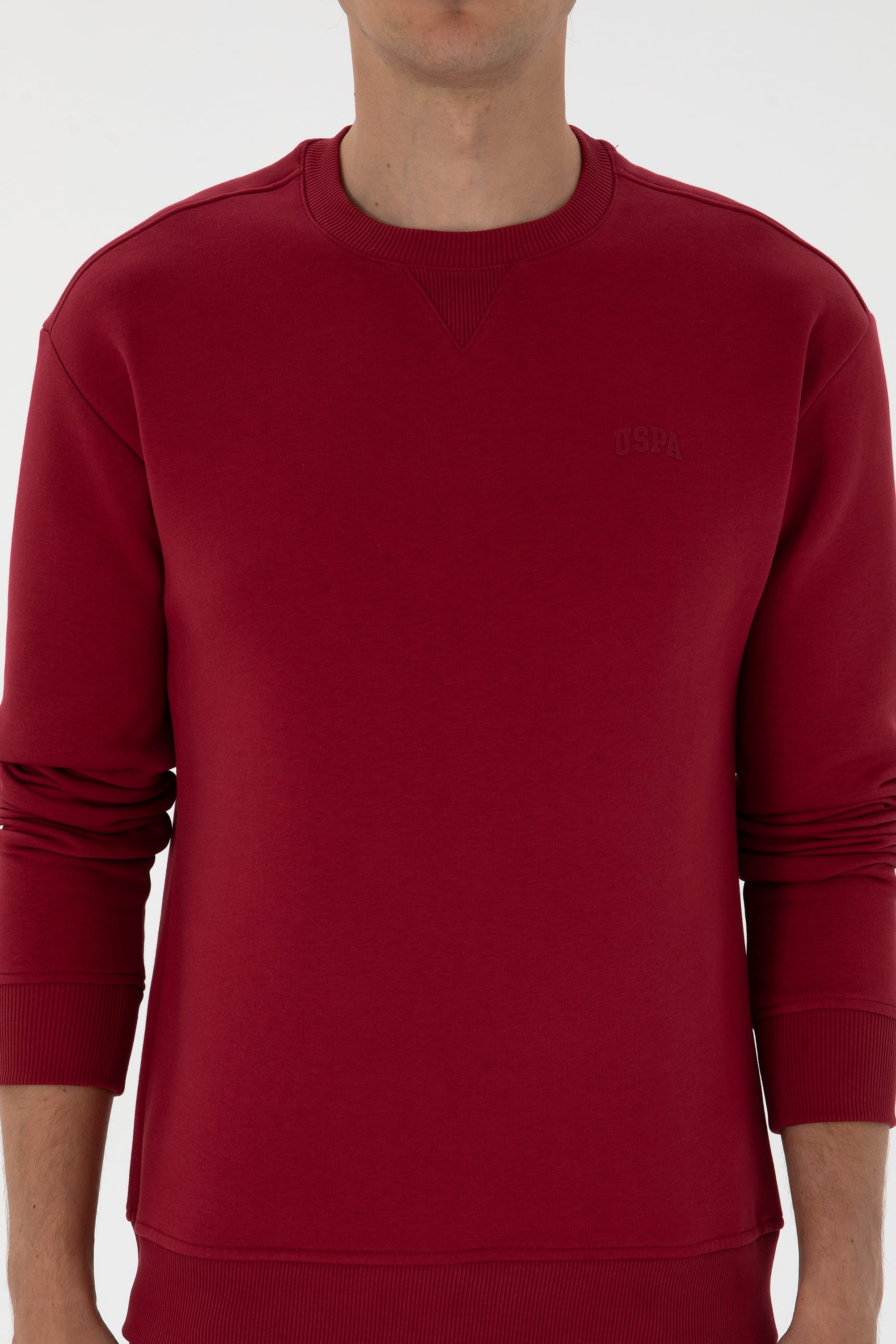 Erkek Comfort Fit Bisiklet Yaka Şardonlu Koyu Frambuaz Basic Sweatshirt