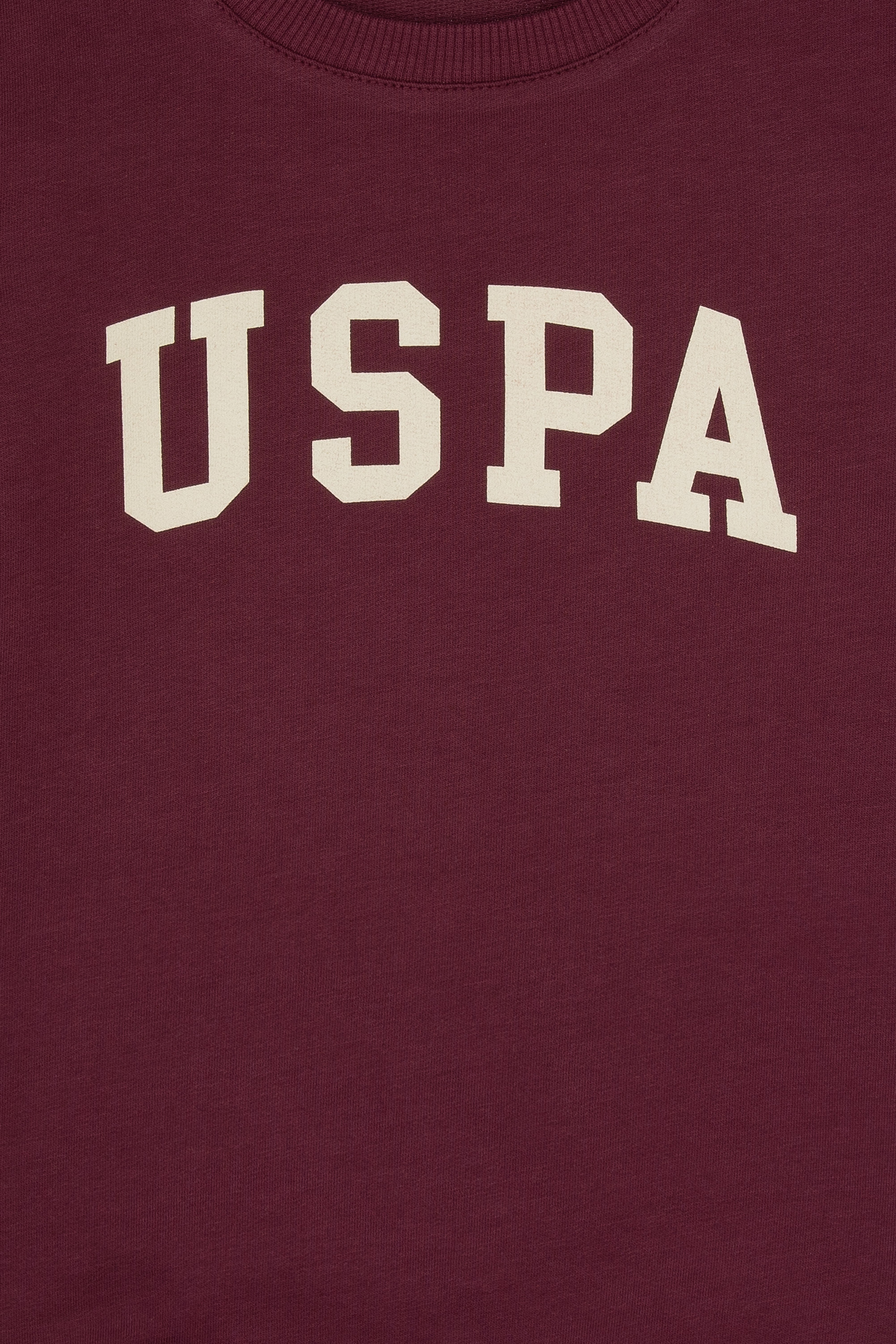 Erkek Çocuk Bordo Basic Bisiklet Yaka Sweatshirt - Image 3