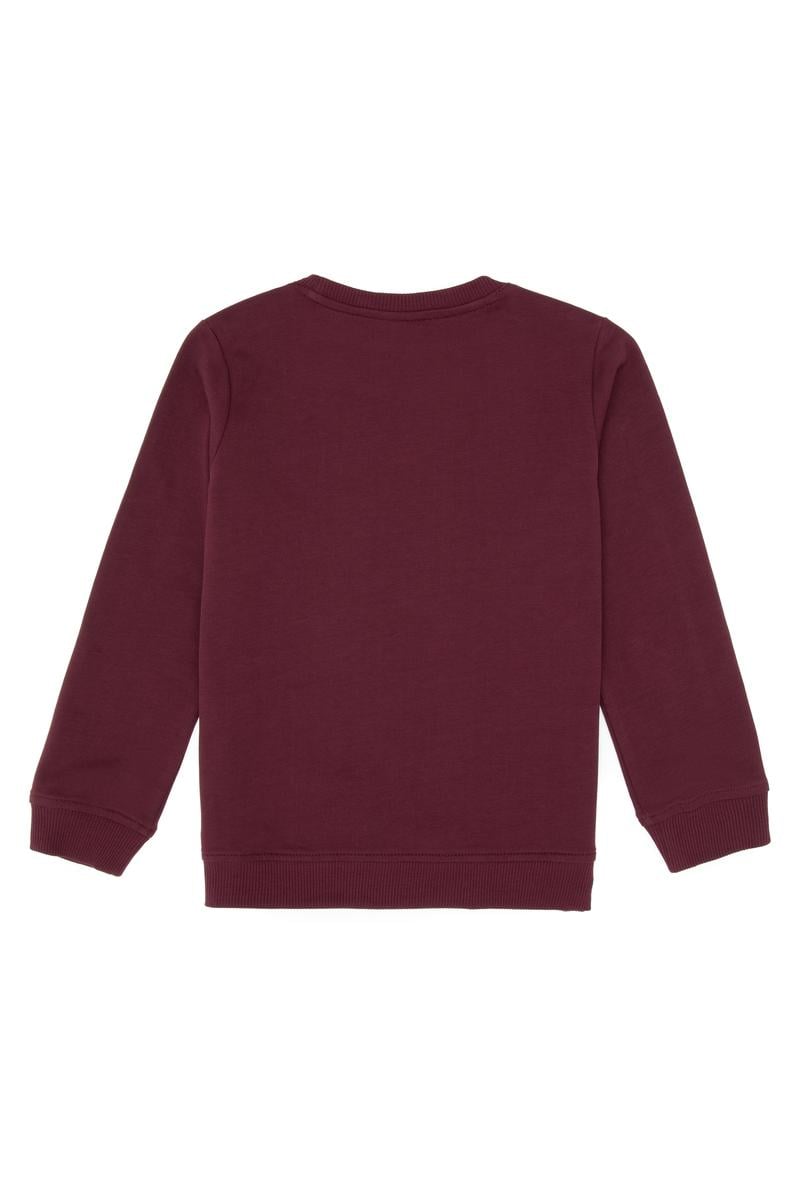 Erkek Çocuk Bordo Basic Bisiklet Yaka Sweatshirt